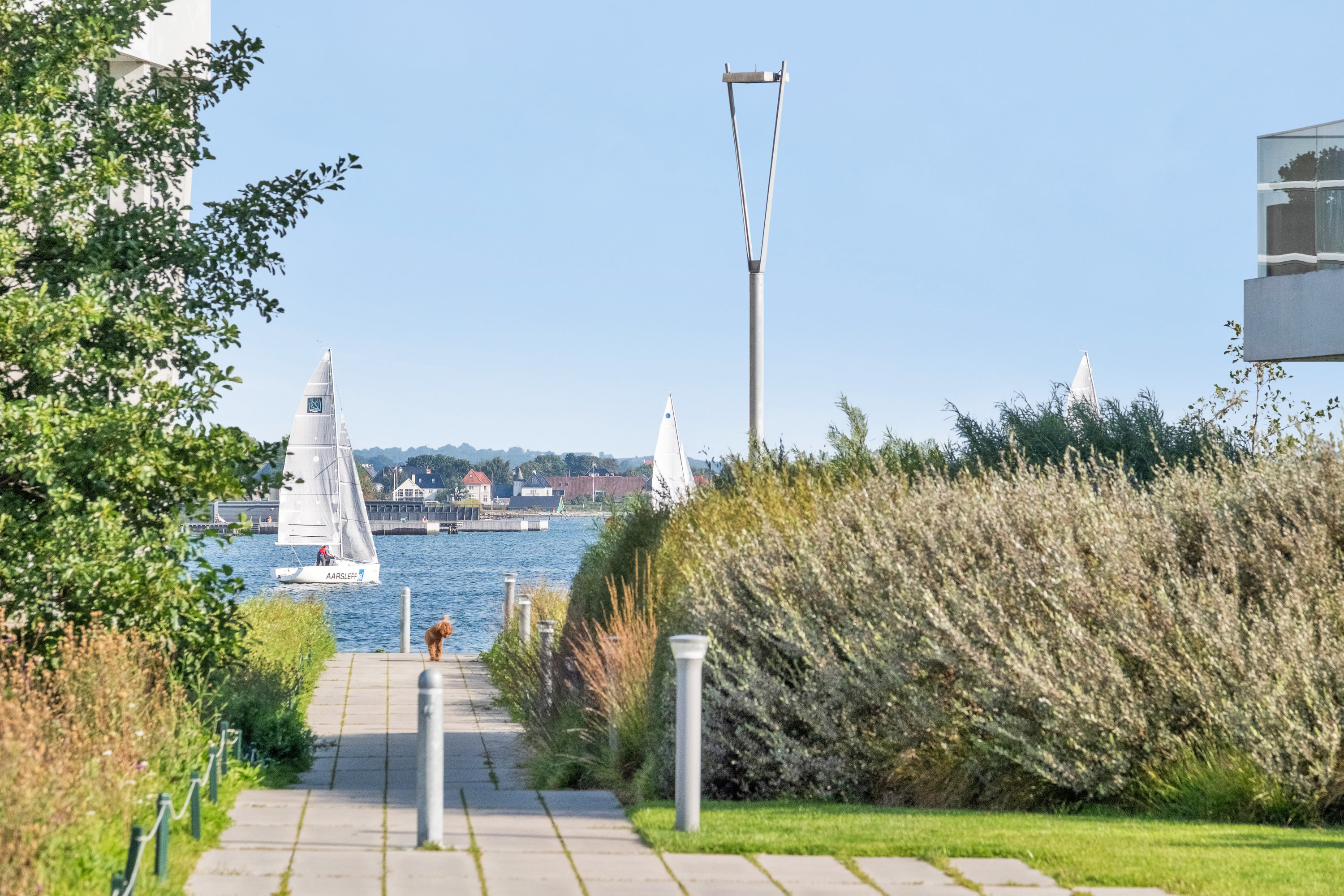 Fremhævet  billede i fuldskærmstilstand. Billede af Esther Aggebos Gade 52, 3. th., 8000 Aarhus C