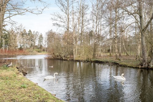 Fremhævet  billede i fuldskærmstilstand. Billede af Parkvænget 15, 8920 Randers NV
