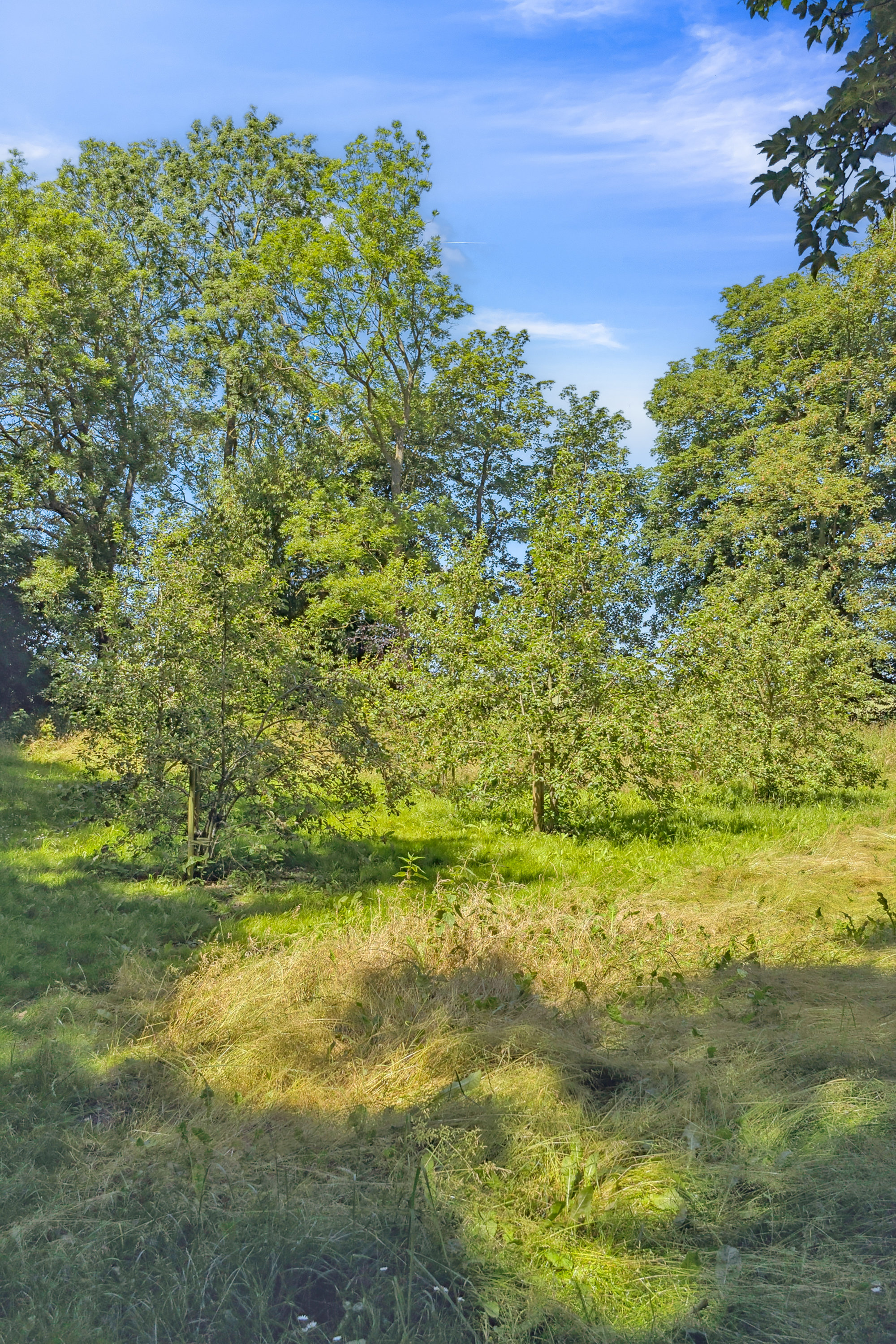 Fremhævet  billede i fuldskærmstilstand. Billede af Bårupvej 10, Bårup, 4360 Kirke Eskilstrup