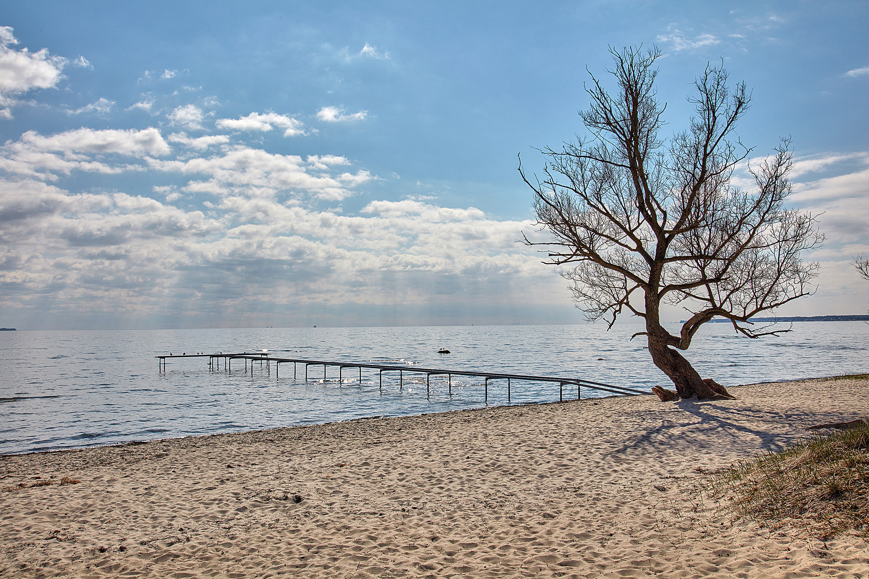 Fremhævet  billede i fuldskærmstilstand. Billede af Gl Strandvej 234, 3050 Humlebæk