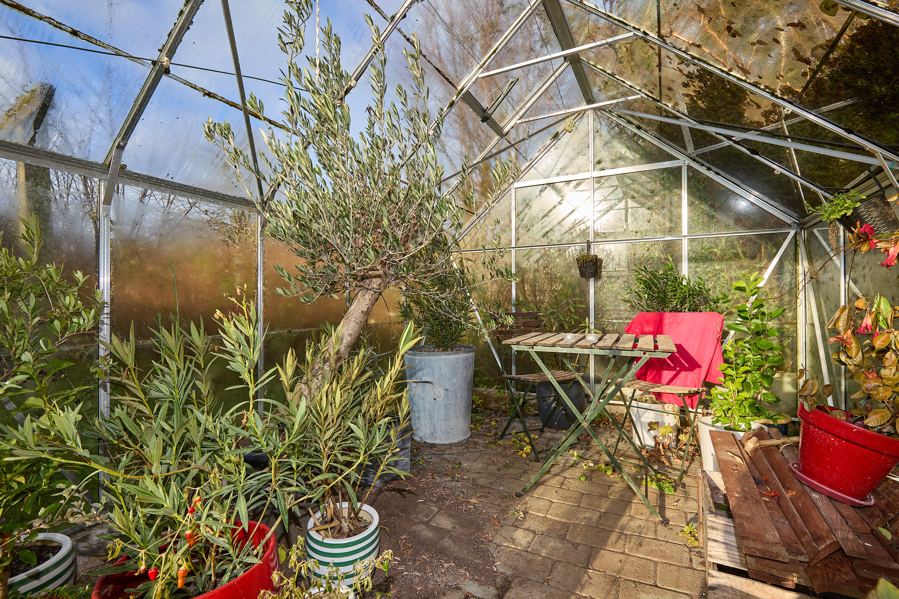 Fremhævet drivhus billede i fuldskærmstilstand. Billede af Klokkervej 12, Skoven, 3630 Jægerspris