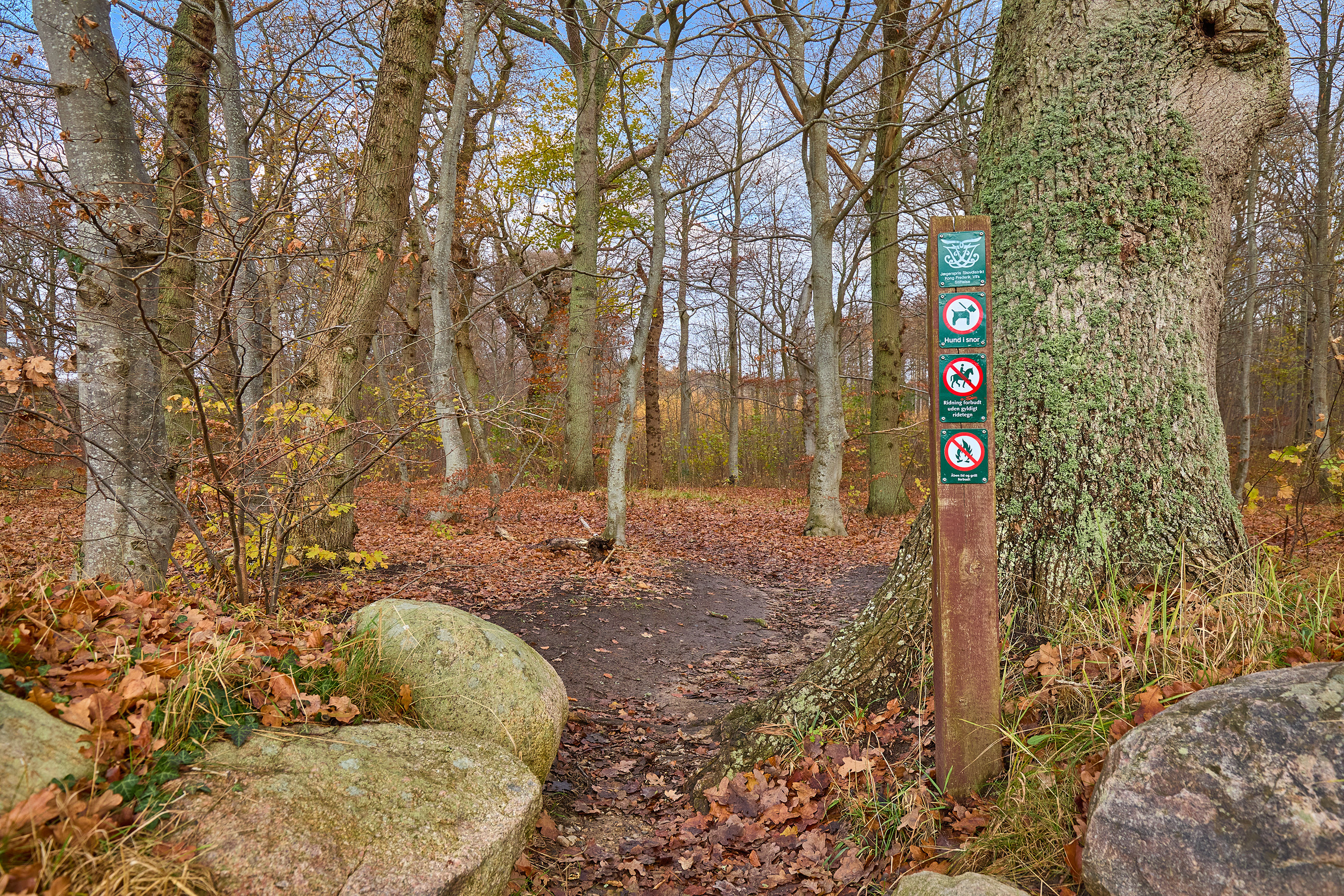 Fremhævet område billede i fuldskærmstilstand. Billede af Klokkervej 12, Skoven, 3630 Jægerspris