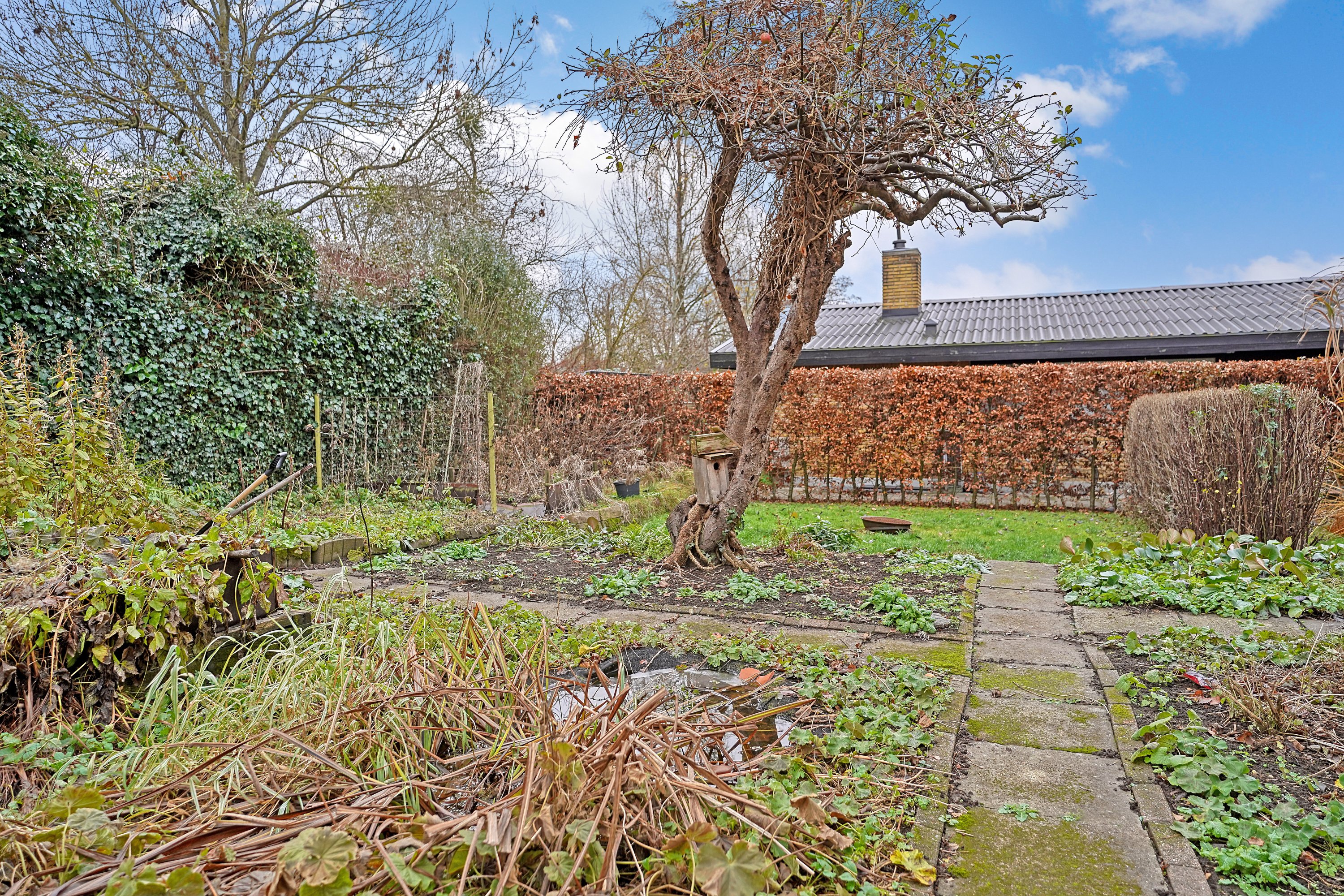 Fremhævet have billede i fuldskærmstilstand. Billede af Stormly 17, Hareskov, 3500 Værløse