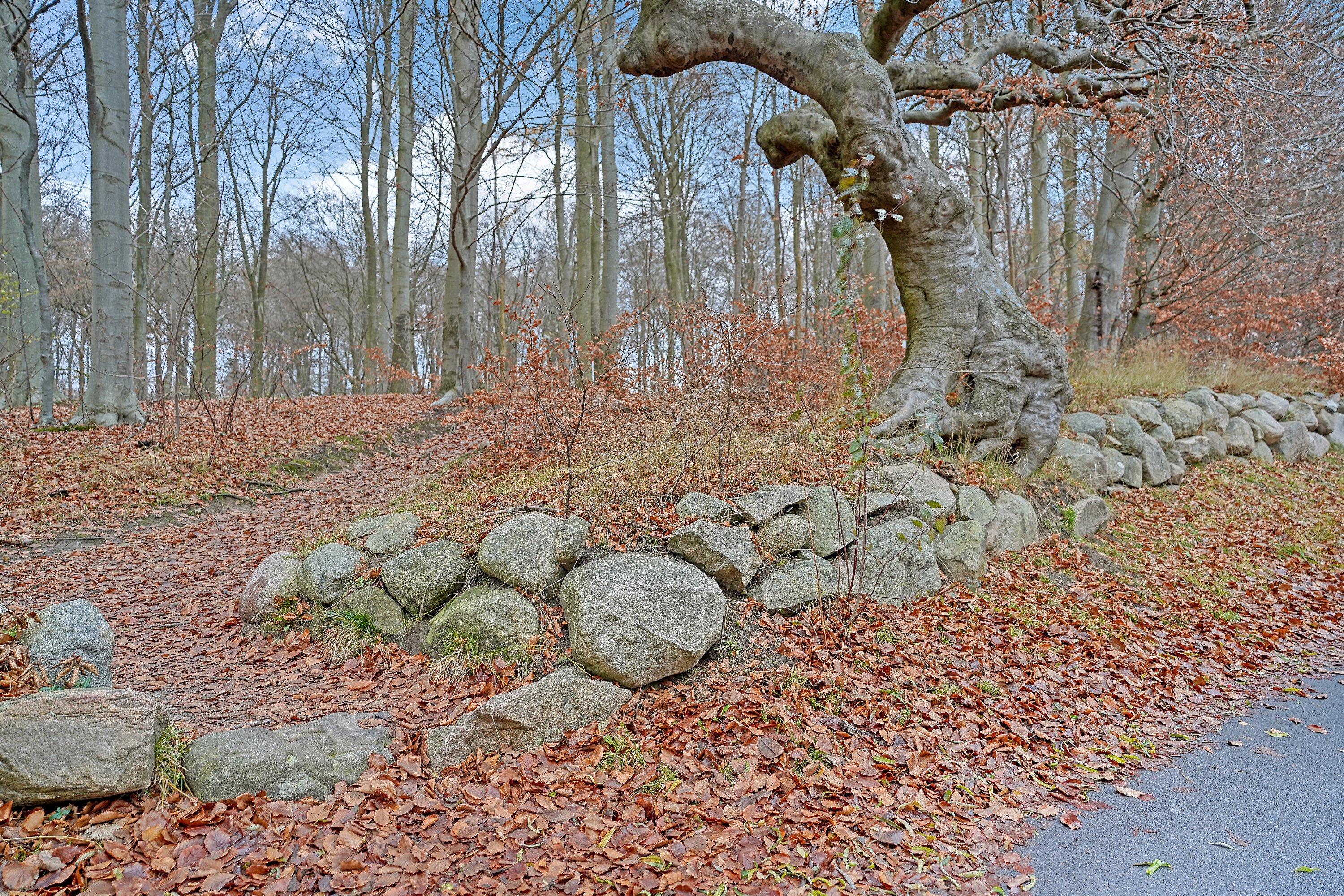 Fremhævet område billede i fuldskærmstilstand. Billede af Stormly 17, Hareskov, 3500 Værløse