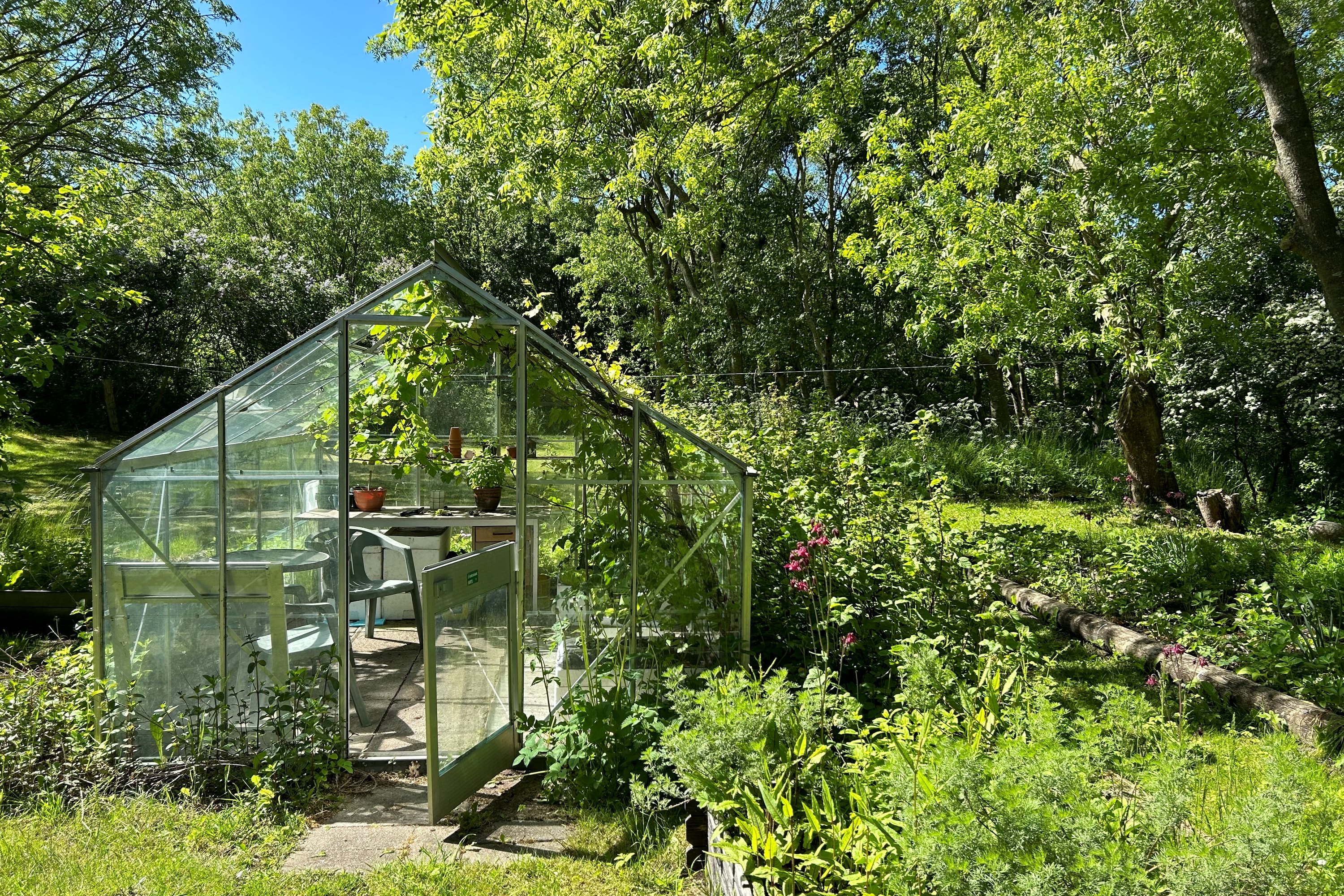 Fremhævet have billede i fuldskærmstilstand. Billede af Oddevej 84, Klim Odde, 9690 Fjerritslev