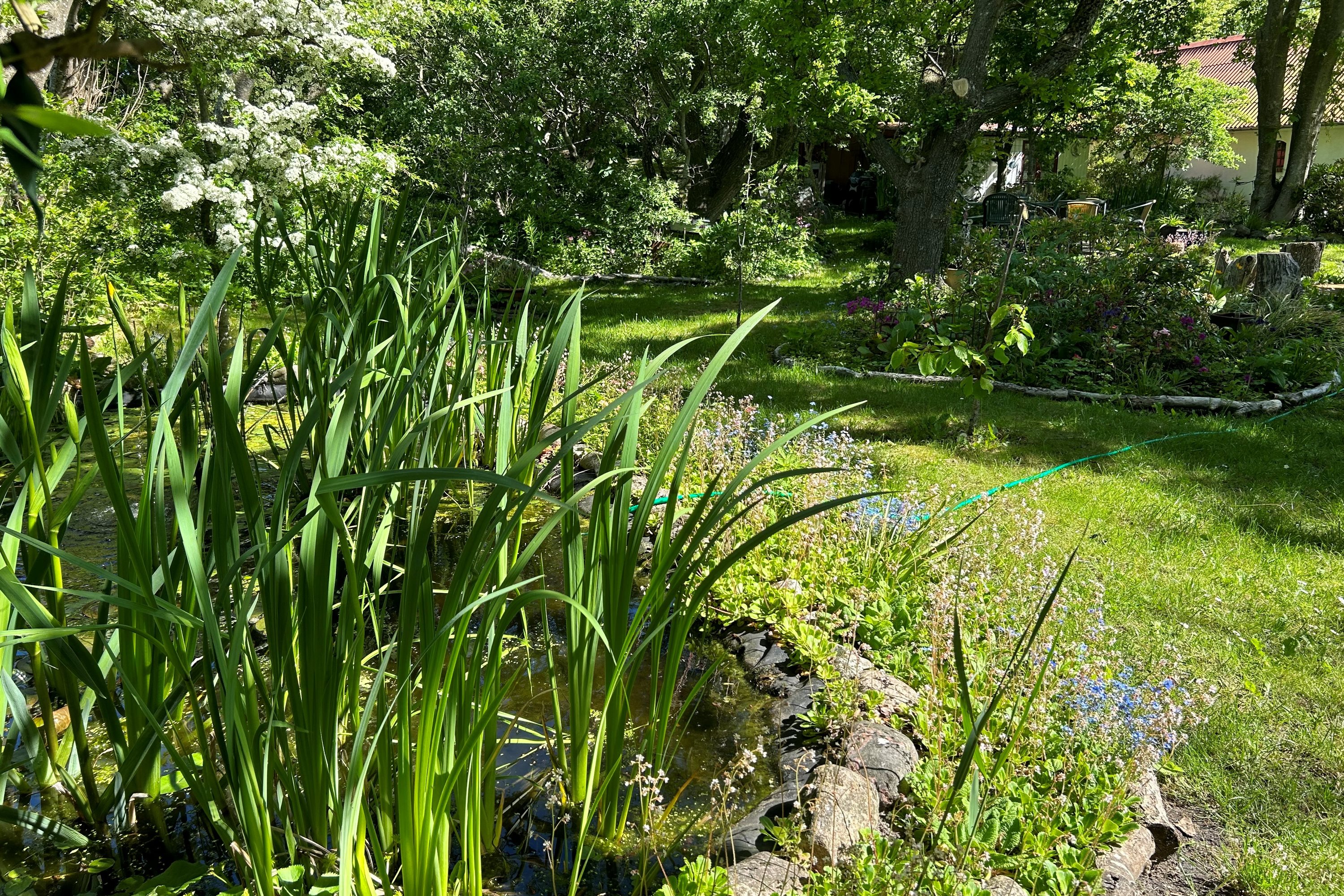 Fremhævet have billede i fuldskærmstilstand. Billede af Oddevej 84, Klim Odde, 9690 Fjerritslev