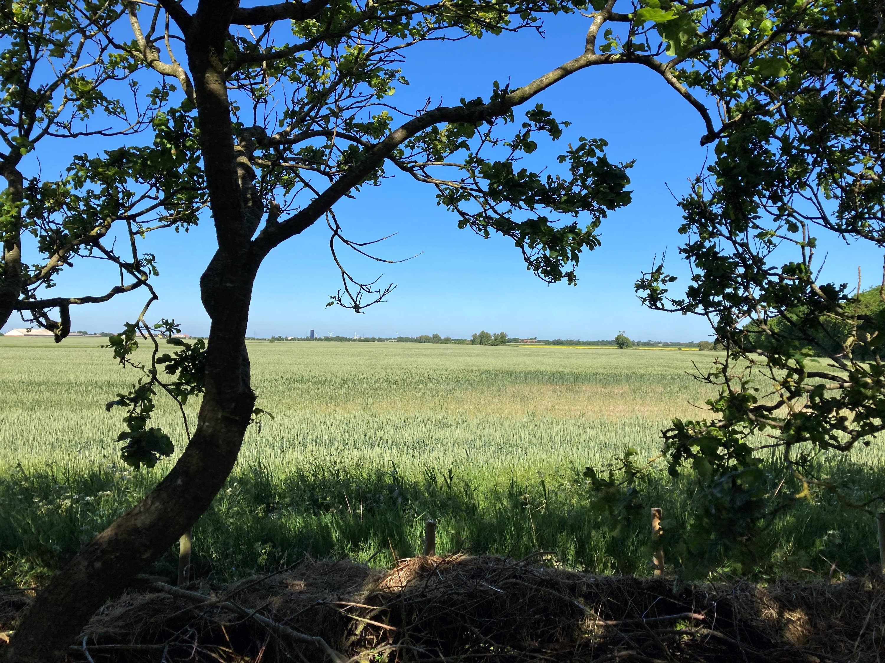 Fremhævet udsigt billede i fuldskærmstilstand. Billede af Oddevej 84, Klim Odde, 9690 Fjerritslev