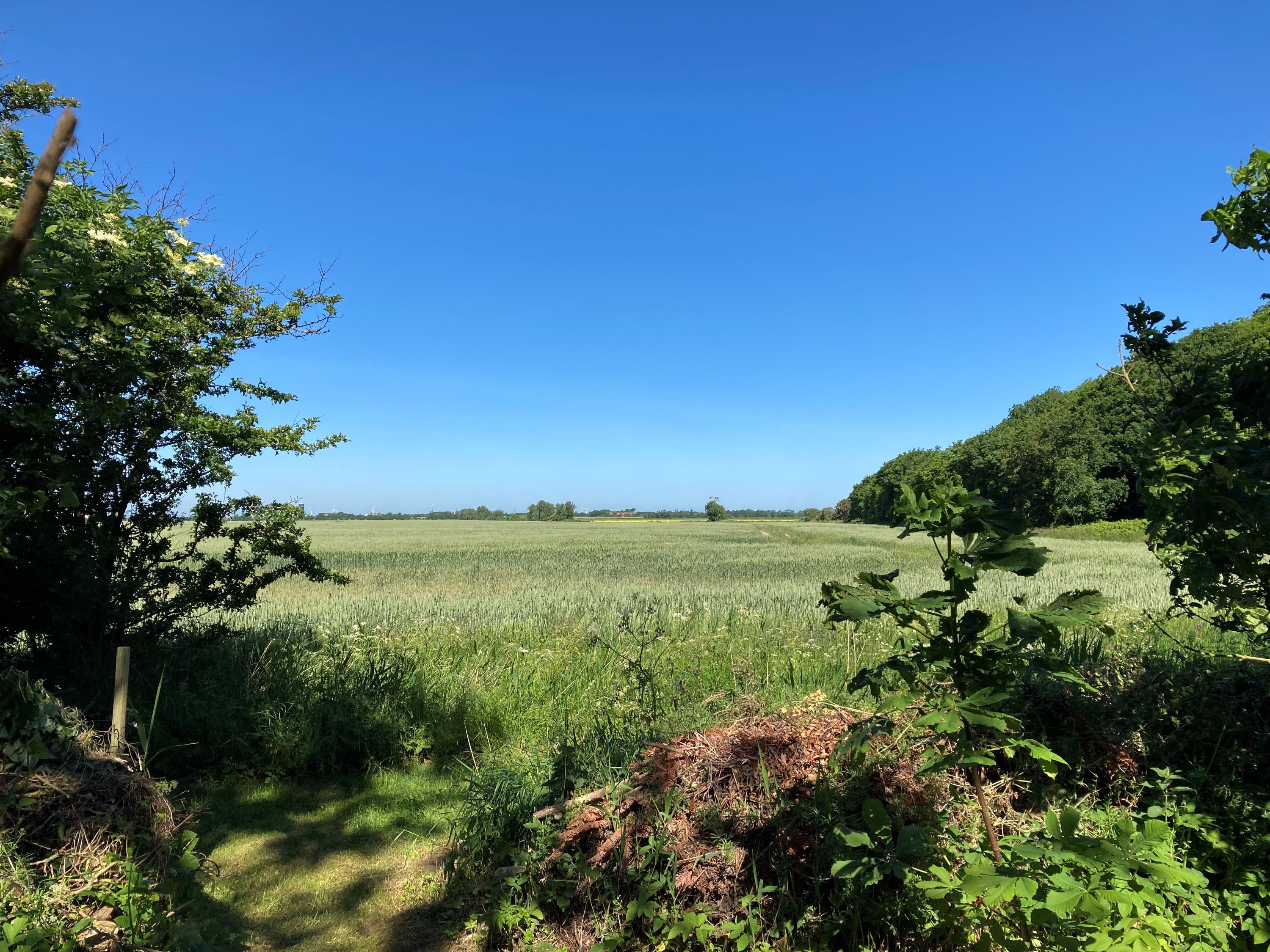 Fremhævet udsigt billede i fuldskærmstilstand. Billede af Oddevej 84, Klim Odde, 9690 Fjerritslev