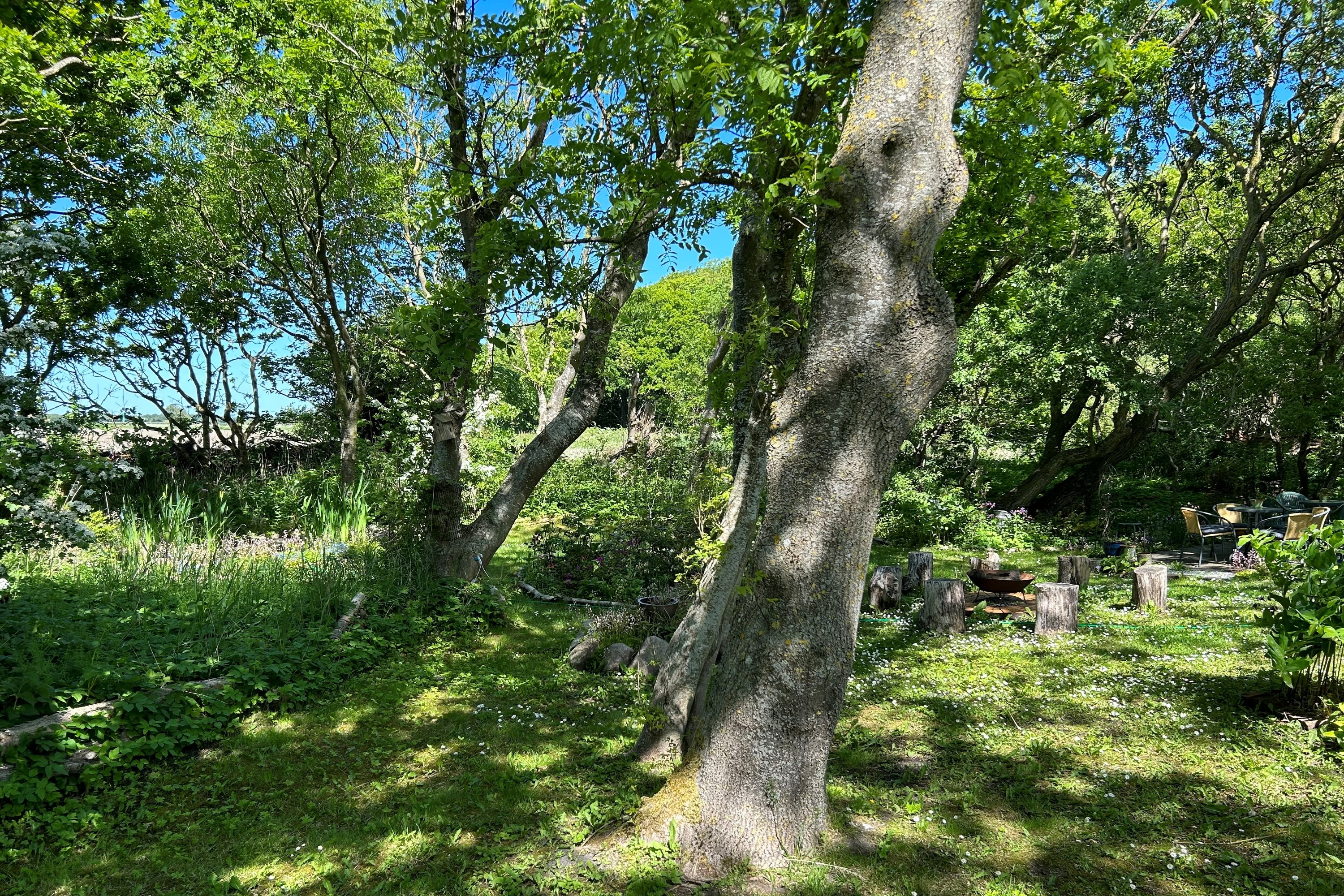 Fremhævet have billede i fuldskærmstilstand. Billede af Oddevej 84, Klim Odde, 9690 Fjerritslev