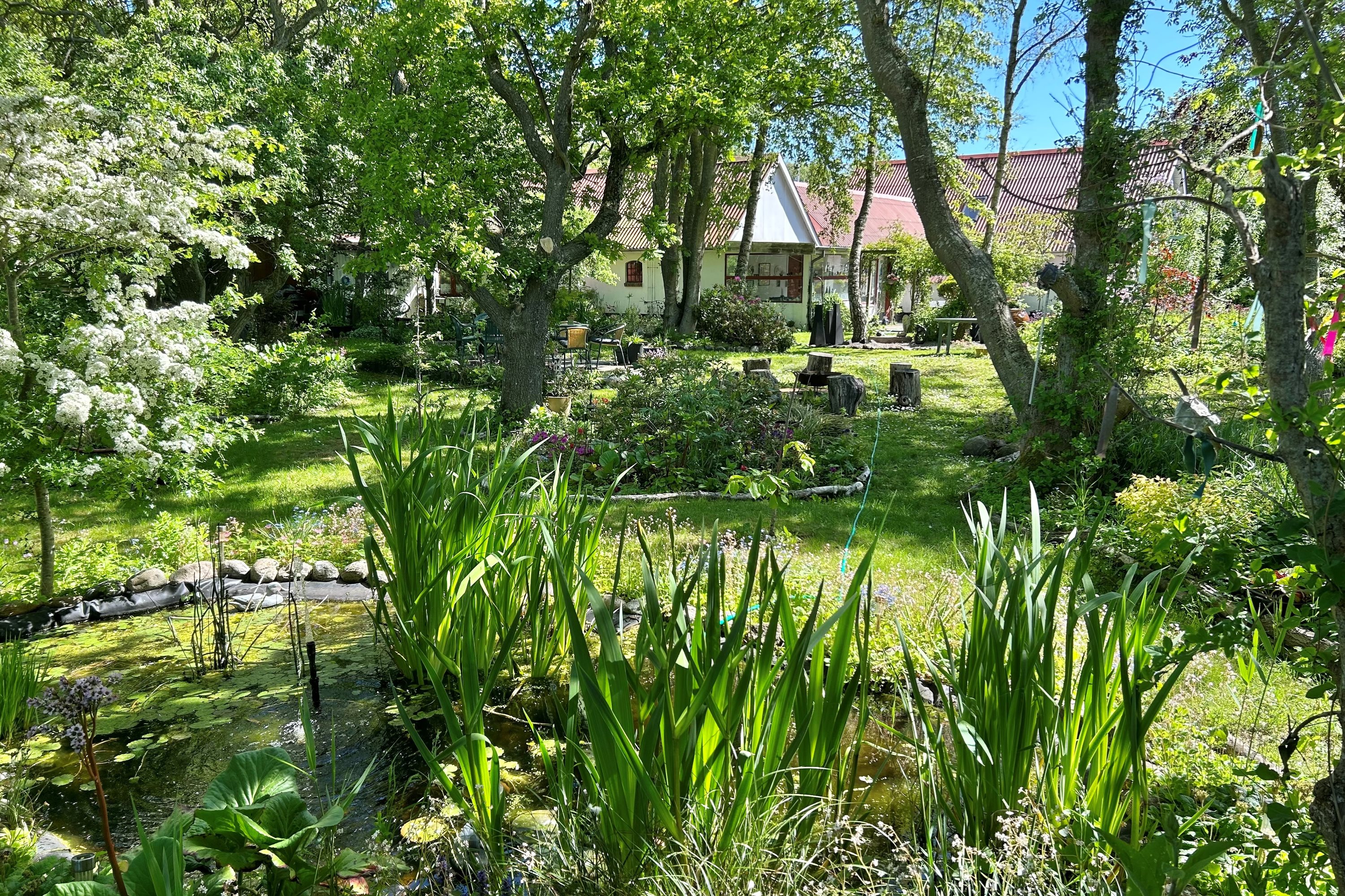 Fremhævet have billede i fuldskærmstilstand. Billede af Oddevej 84, Klim Odde, 9690 Fjerritslev