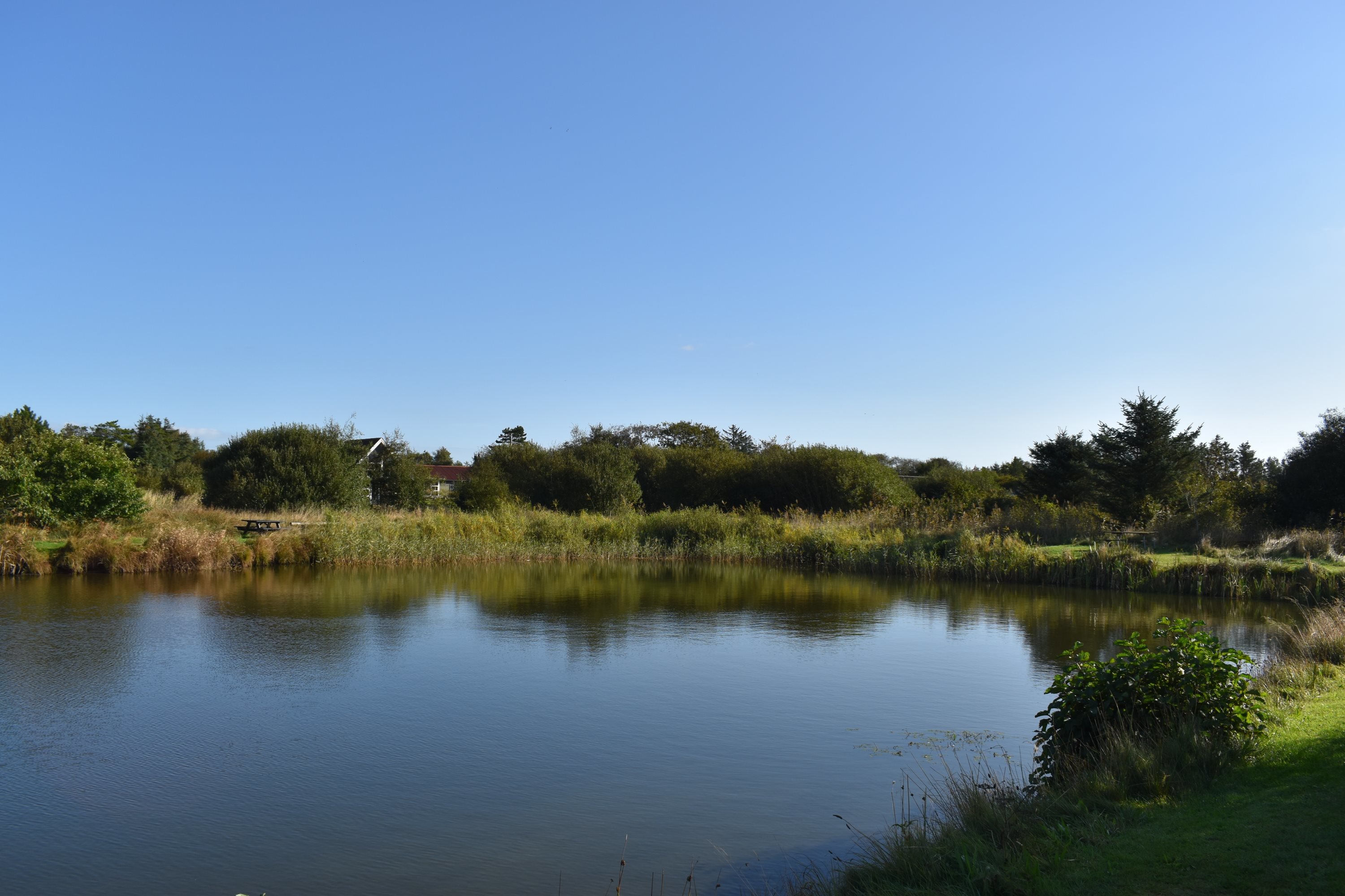 Fremhævet stauning havn billede i fuldskærmstilstand. Billede af Sivvænget 25, Stauning, 6900 Skjern