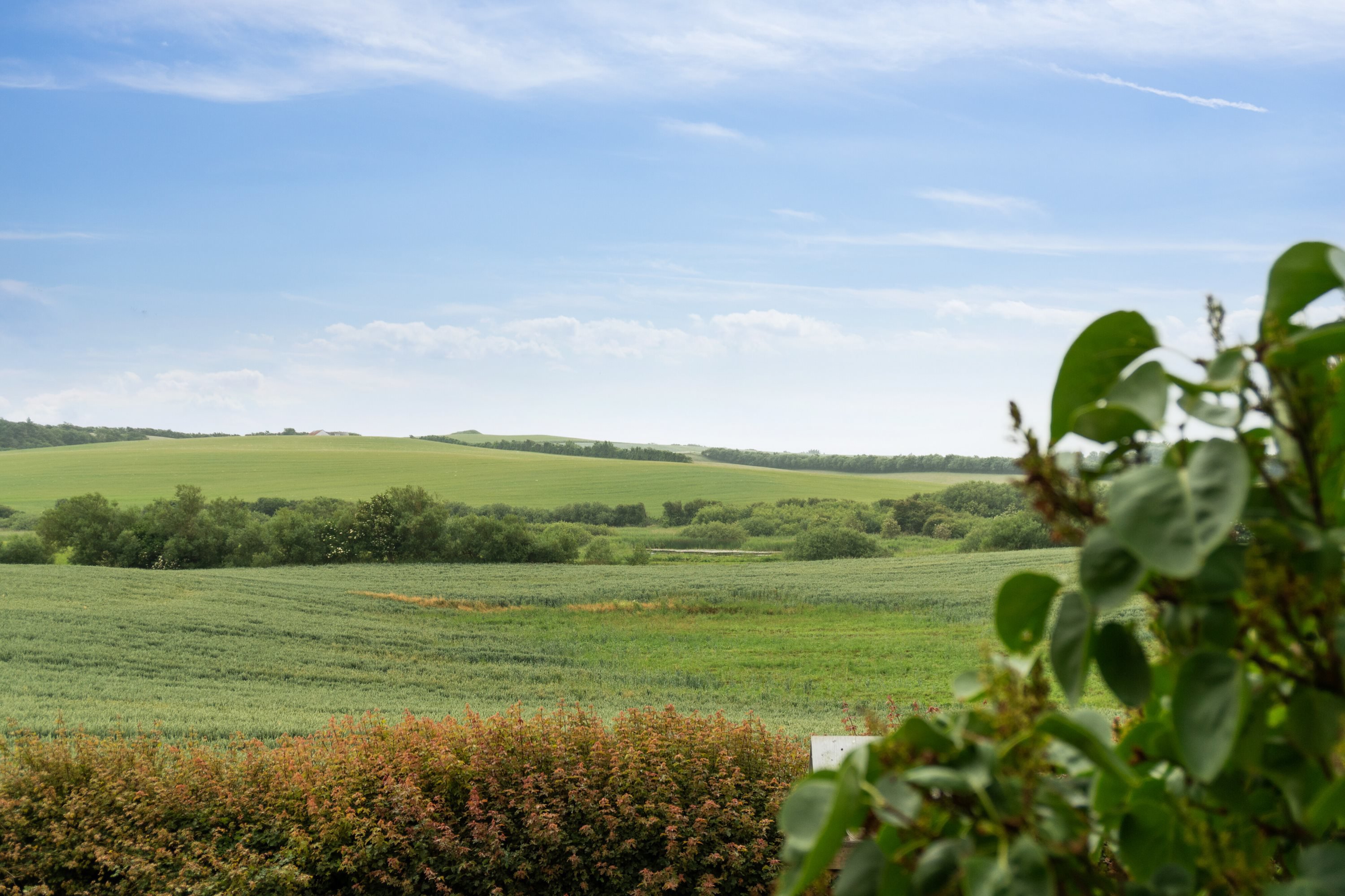 Miniaturebillede 2: . Billede af Gundgårdsvej 8, Hassing, 7755 Bedsted Thy