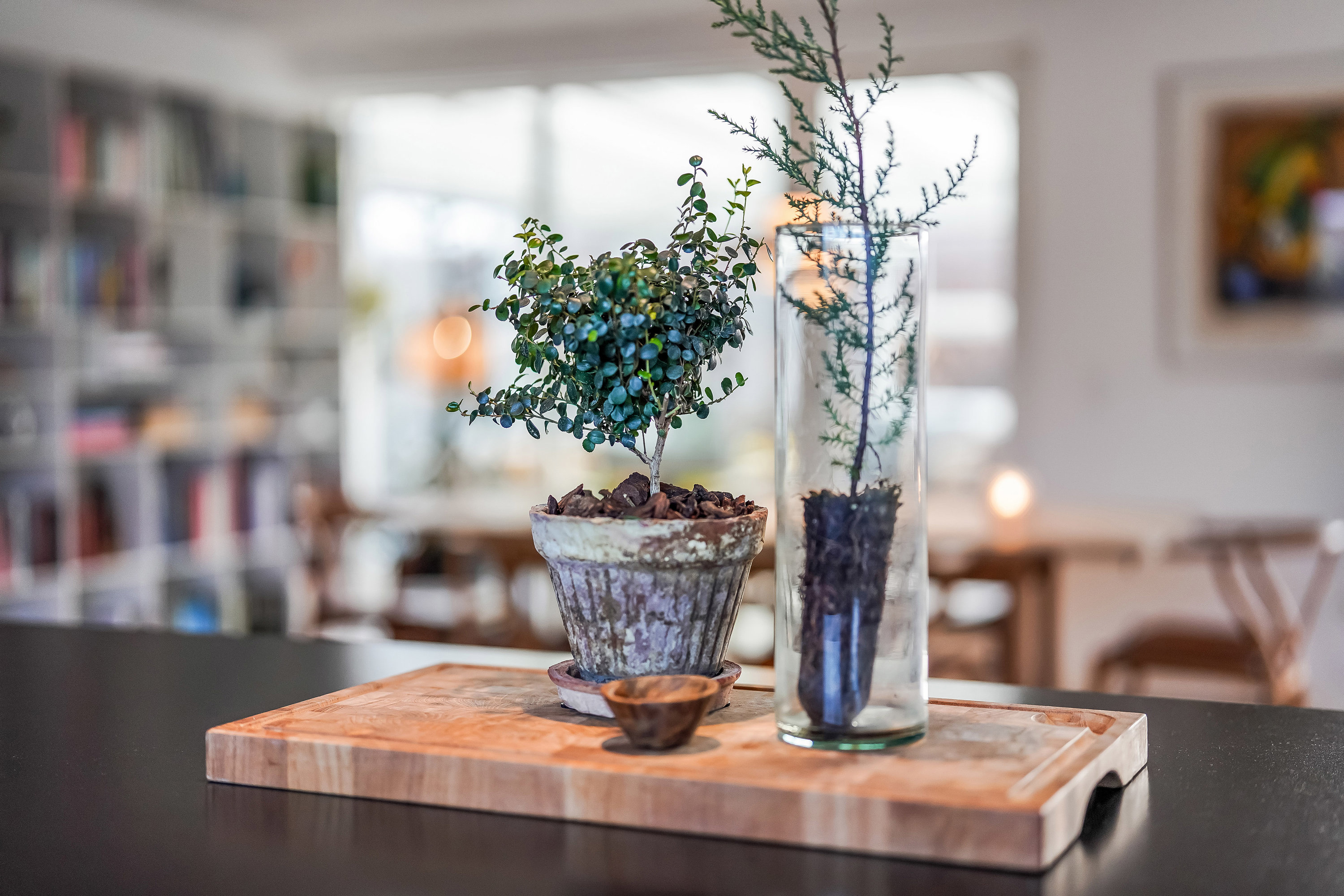 Fremhævet  billede i fuldskærmstilstand. Billede af Skovparken 320, 7190 Billund