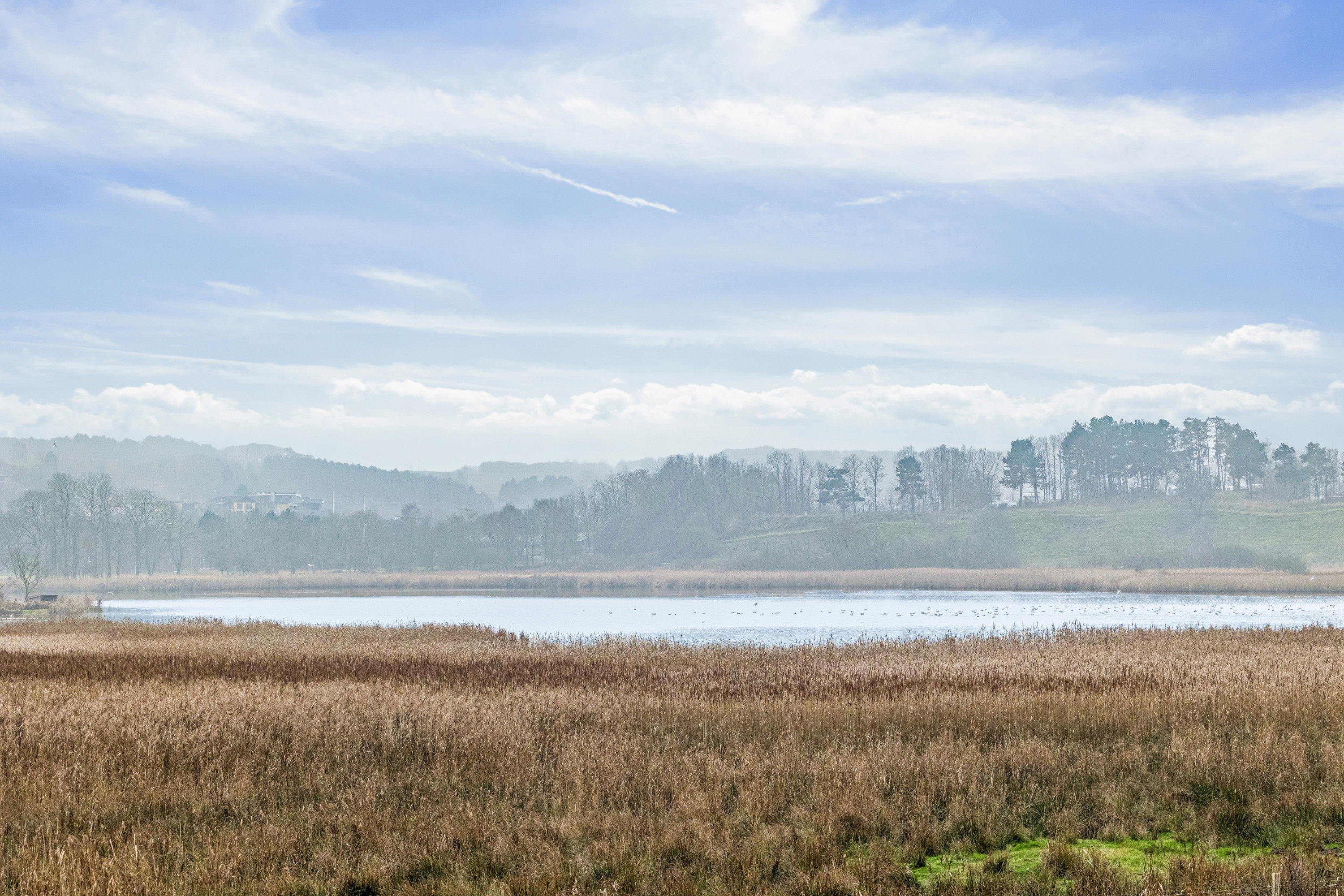 Fremhævet udsigt billede i fuldskærmstilstand. Billede af Enghavevej 13, 1. 6., 9500 Hobro