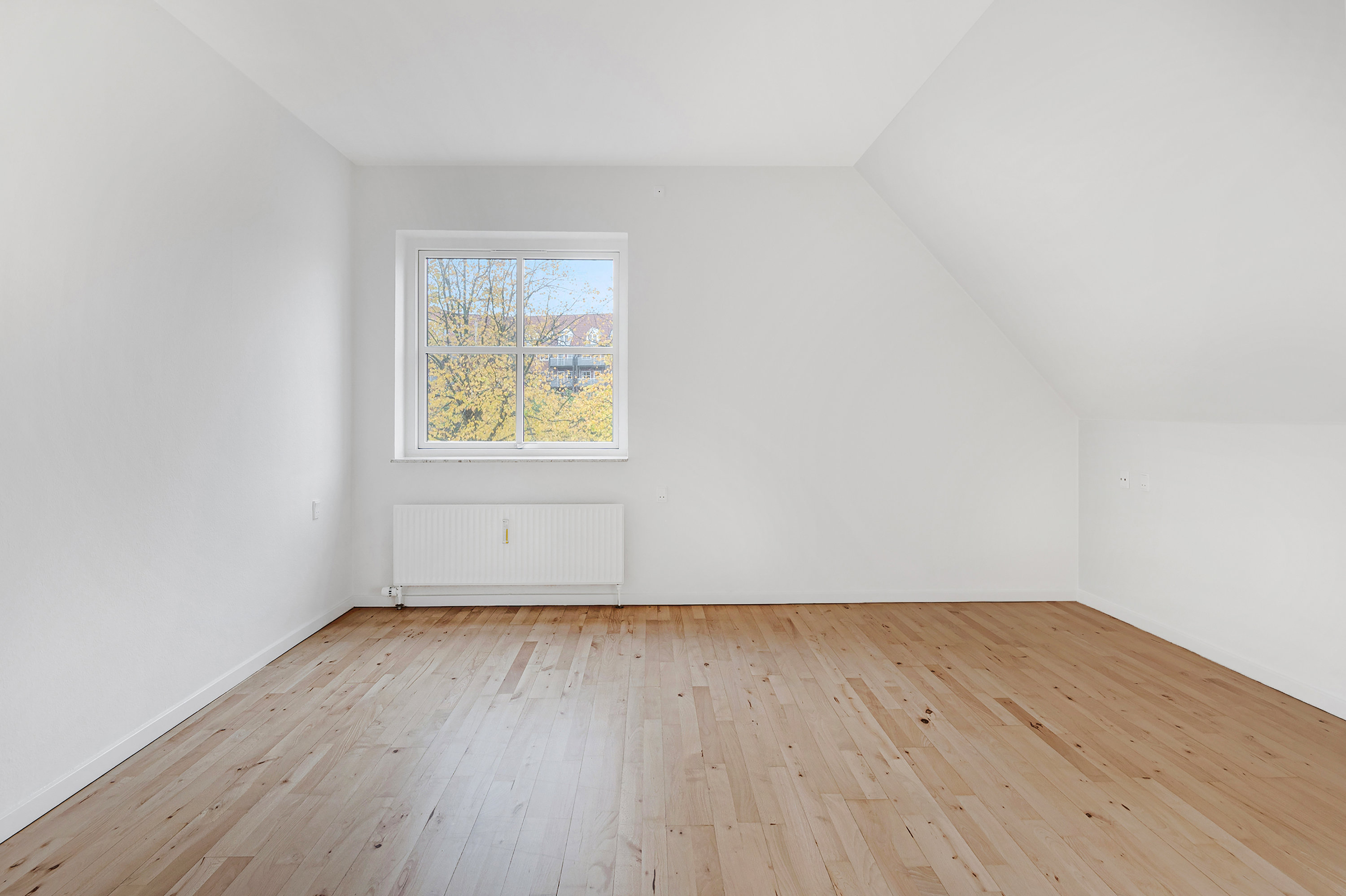 Fremhævet  billede i fuldskærmstilstand. Billede af Filosofhaven 6, 2. 107., 5000 Odense C