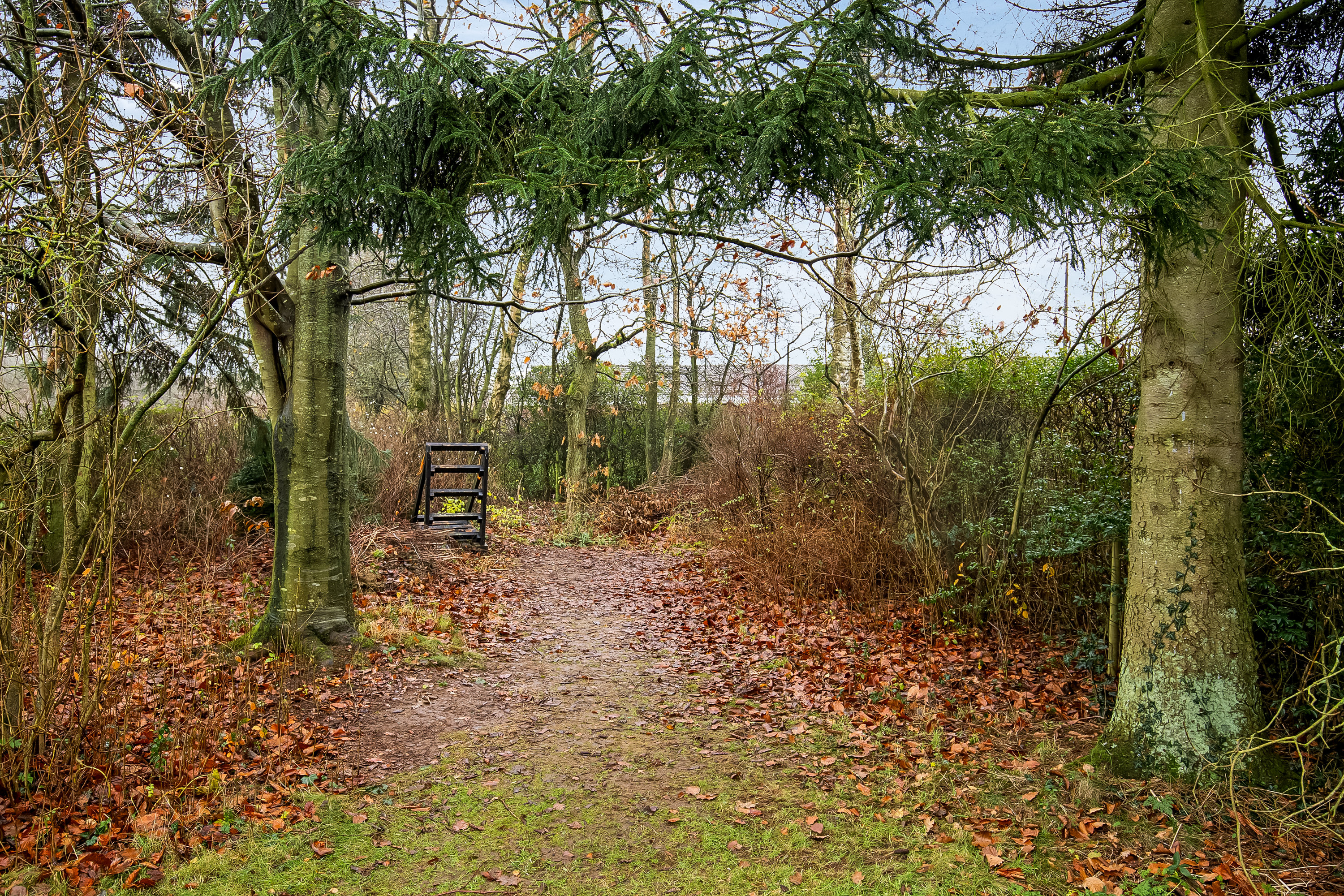 Fremhævet have billede i fuldskærmstilstand. Billede af Januarvænget 14, Bramdrupdam, 6000 Kolding
