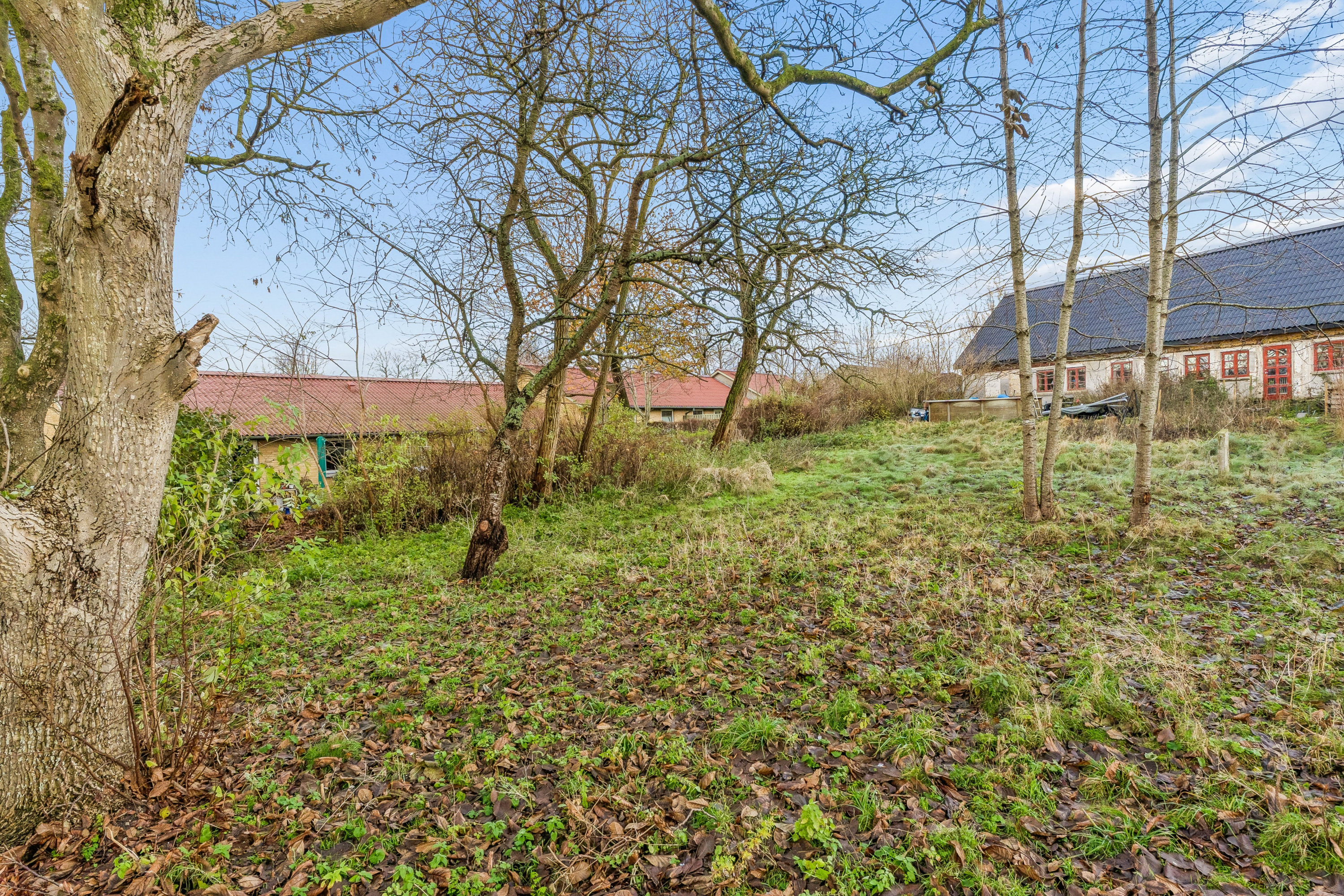 Fremhævet  billede i fuldskærmstilstand. Billede af Bakken 52, 4370 Store Merløse