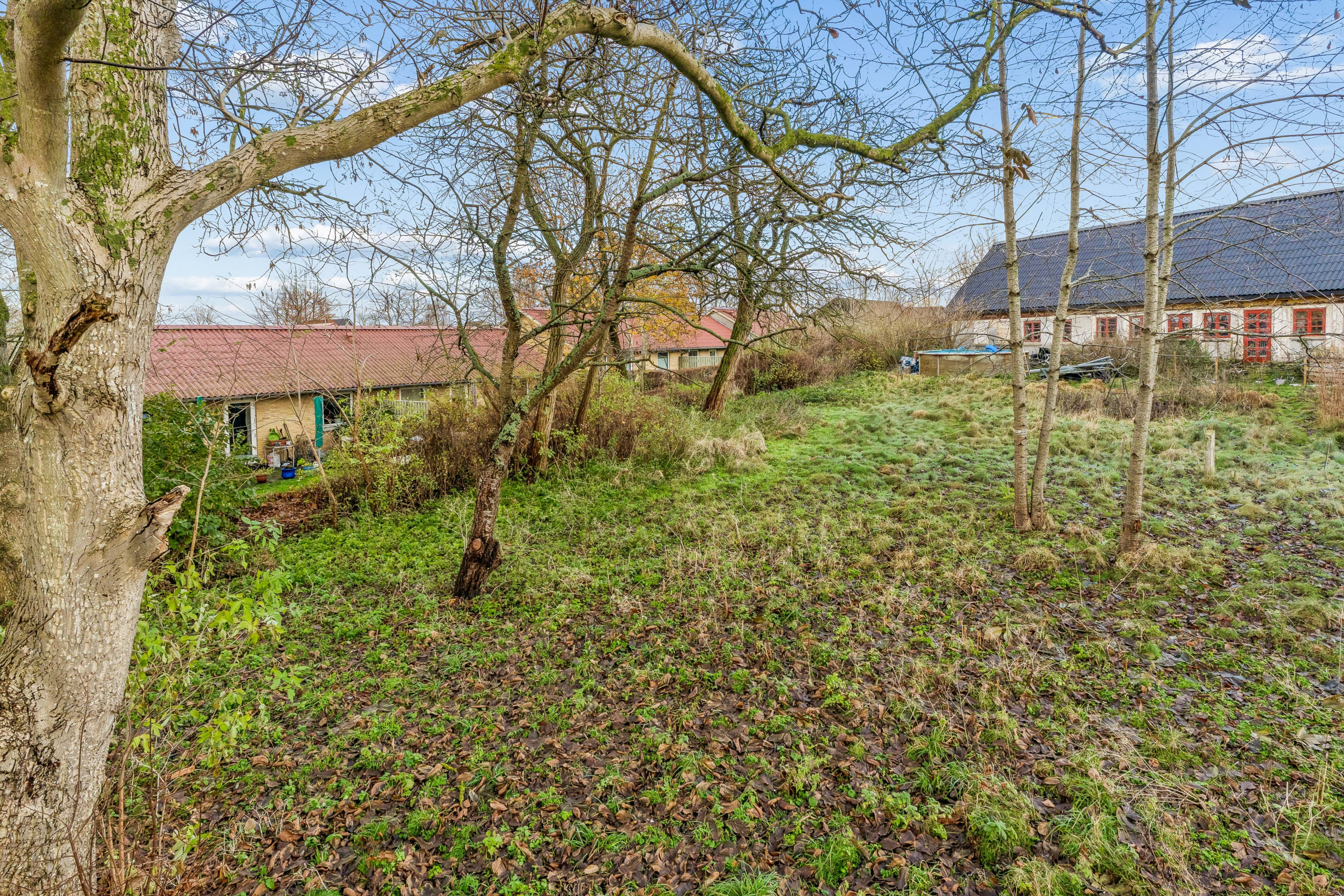 Fremhævet  billede i fuldskærmstilstand. Billede af Bakken 52, 4370 Store Merløse