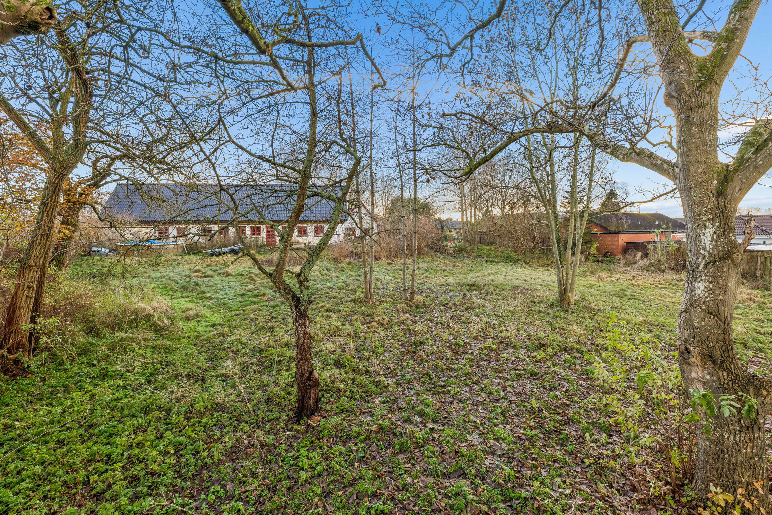 Fremhævet  billede i fuldskærmstilstand. Billede af Bakken 52, 4370 Store Merløse