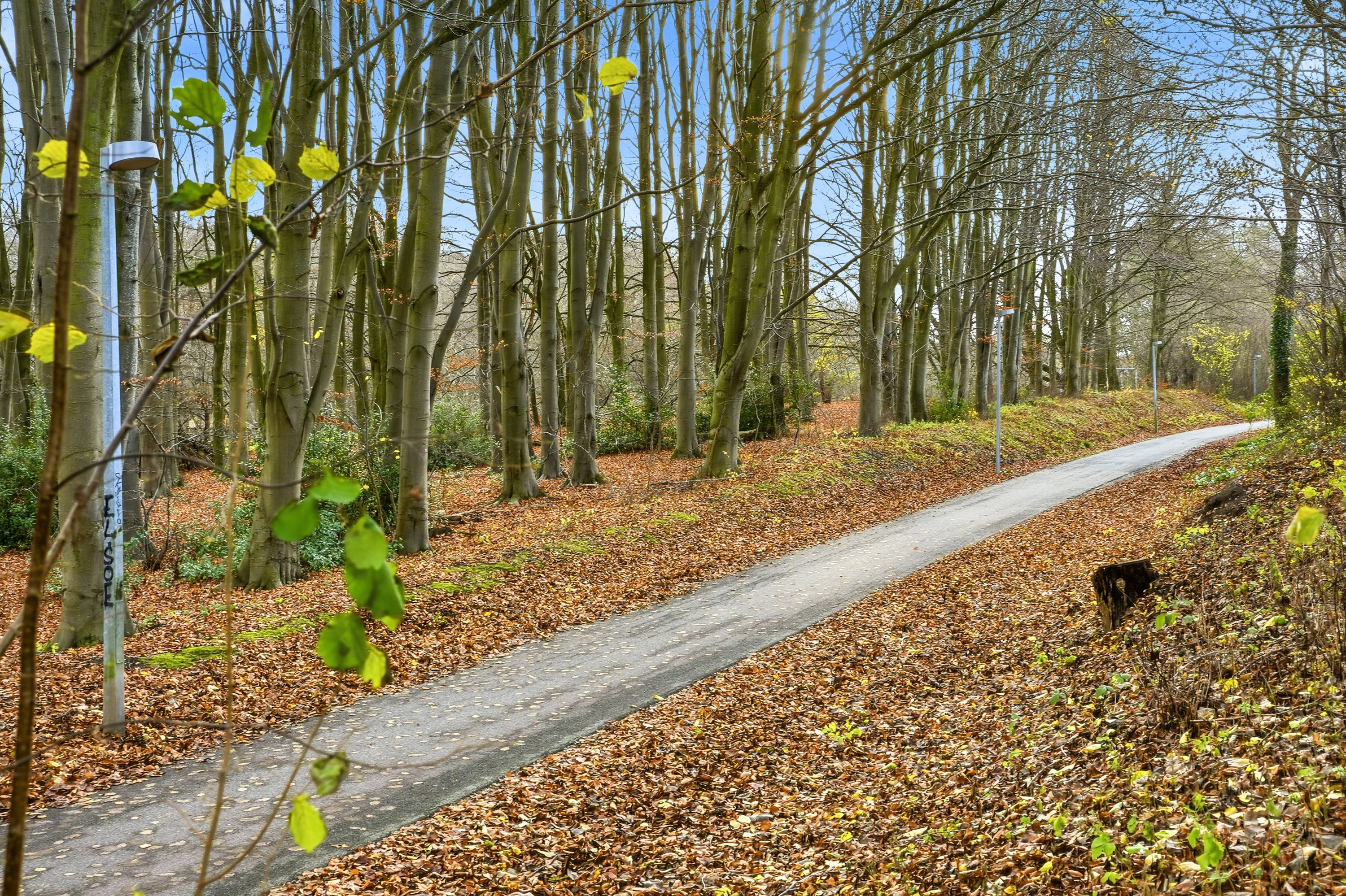 Fremhævet omgivelser billede i fuldskærmstilstand. Billede af Jernbanevej 51, Tarup, 5210 Odense NV