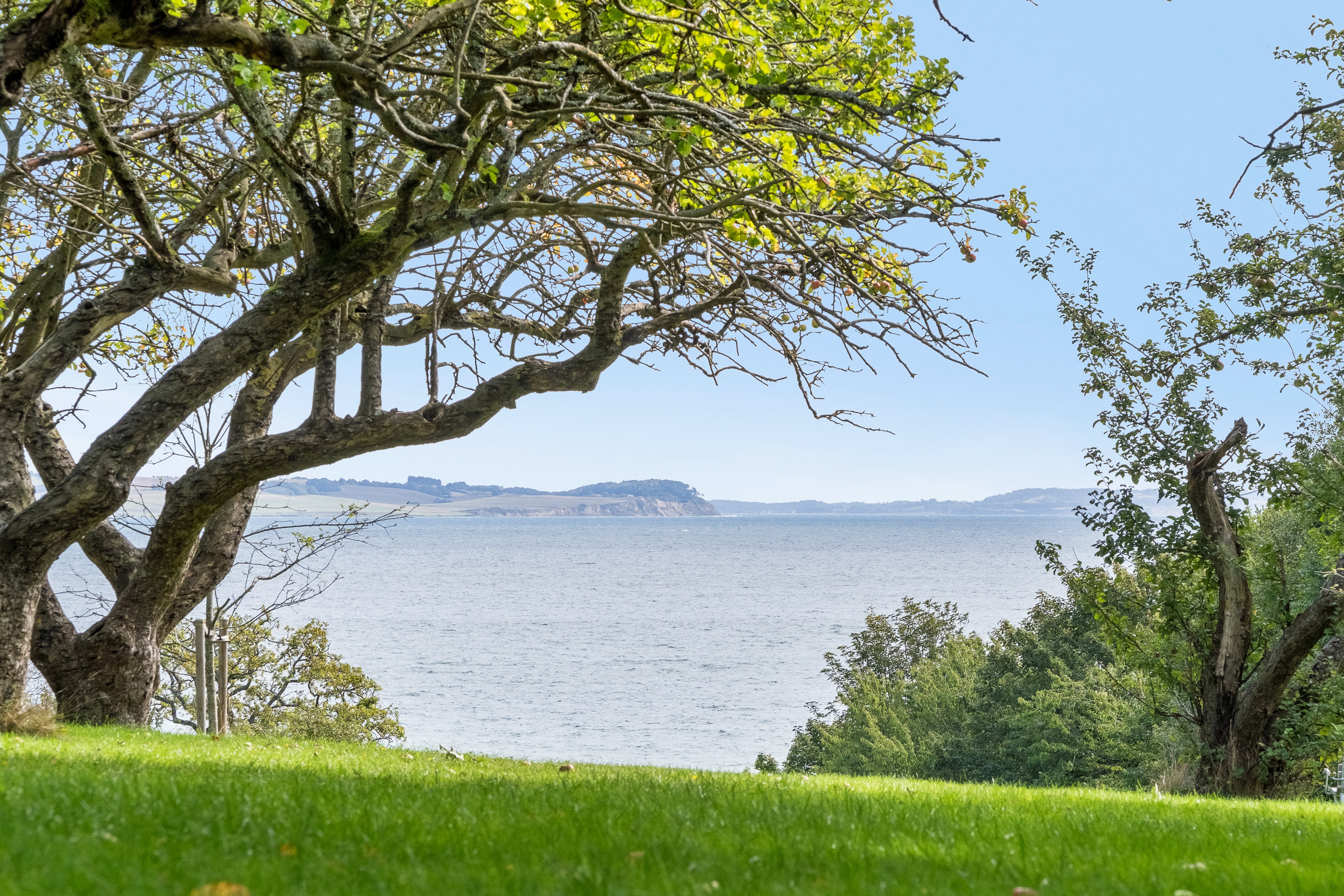 Fremhævet  billede i fuldskærmstilstand. Billede af Bindesbølls Allé 35, 1. 3., 8240 Risskov