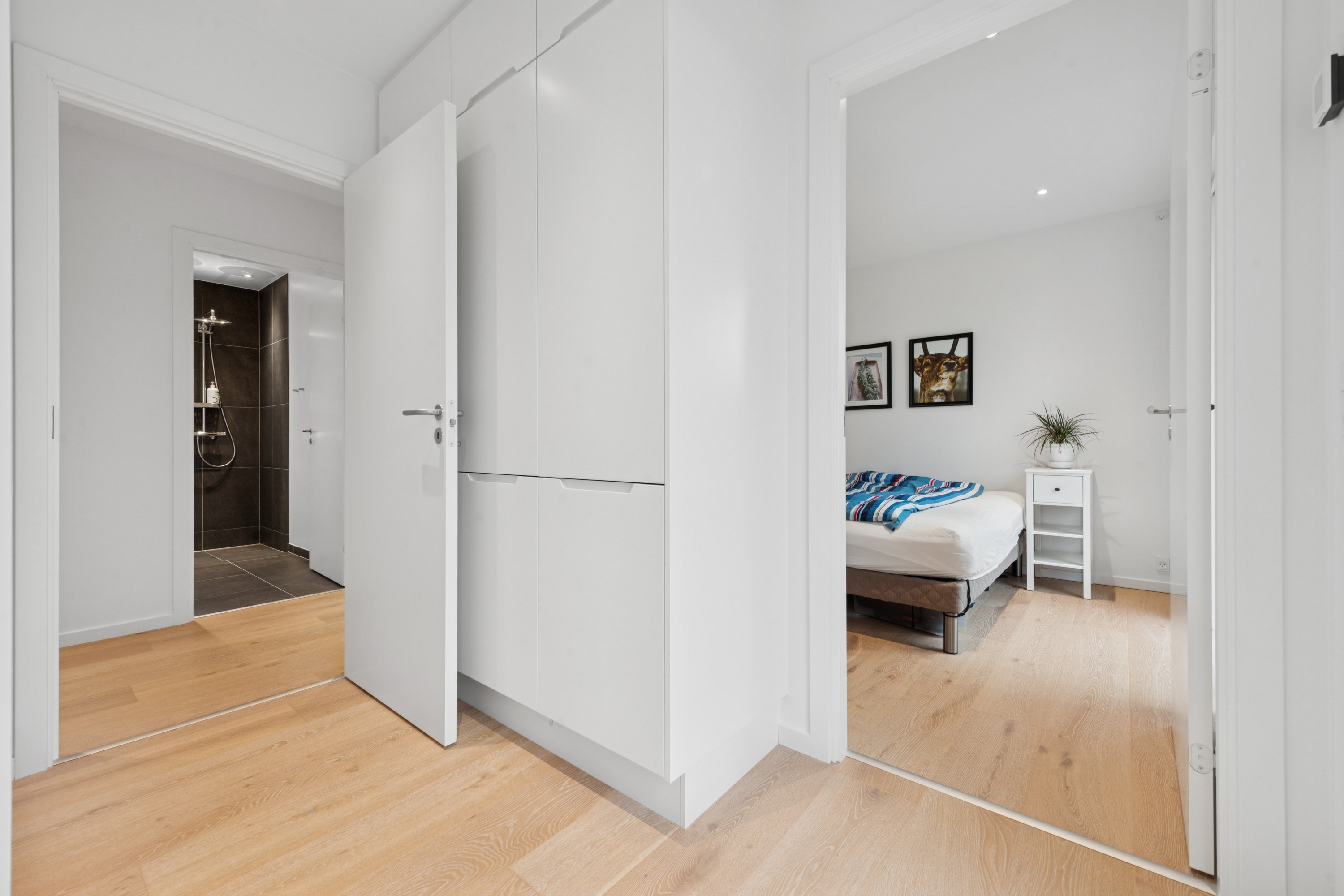 Fremhævet værelse billede i fuldskærmstilstand. Billede af Vibesvinget 7, 2670 Greve