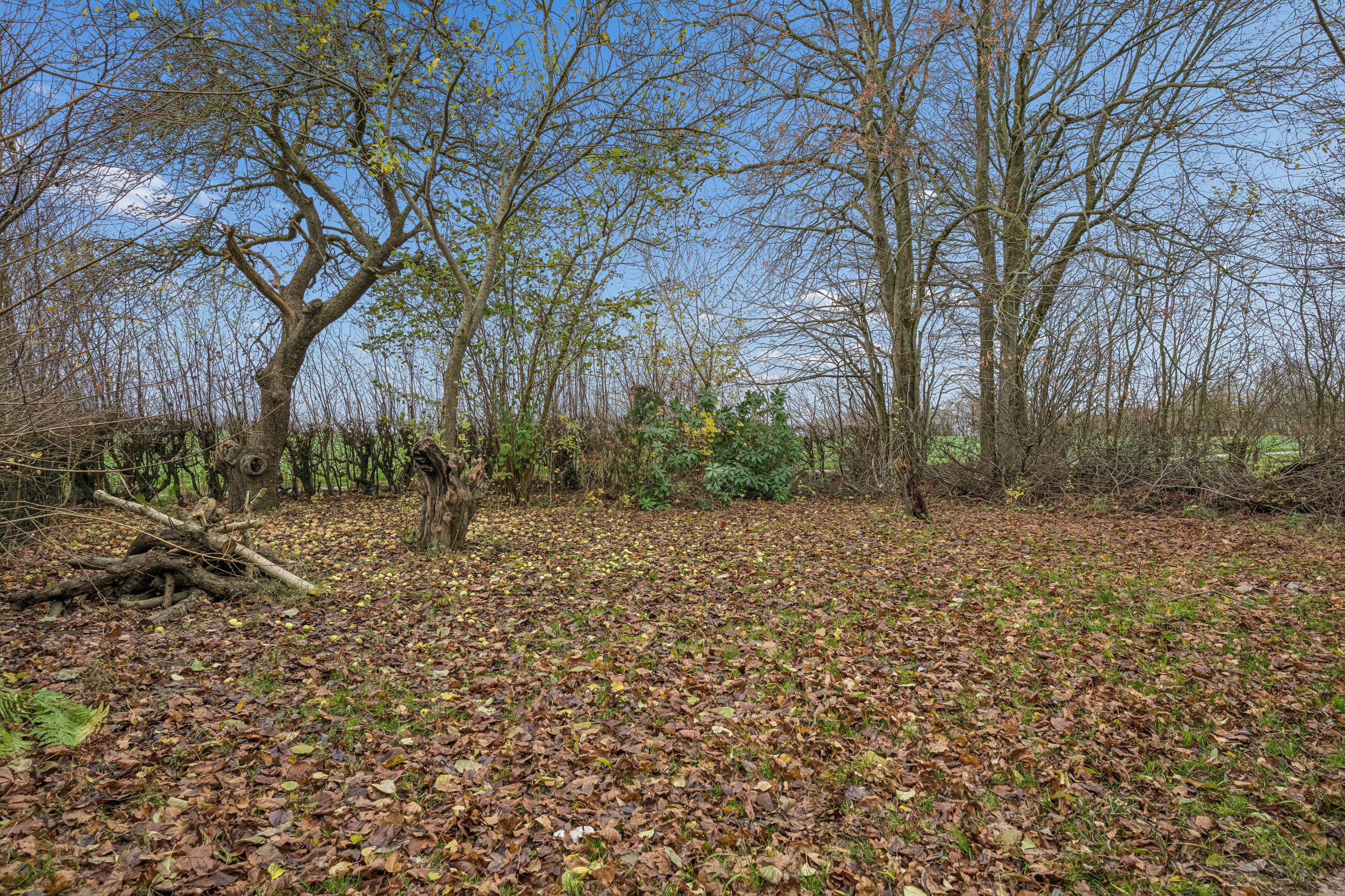 Fremhævet  billede i fuldskærmstilstand. Billede af Mosevej 5, 8950 Ørsted