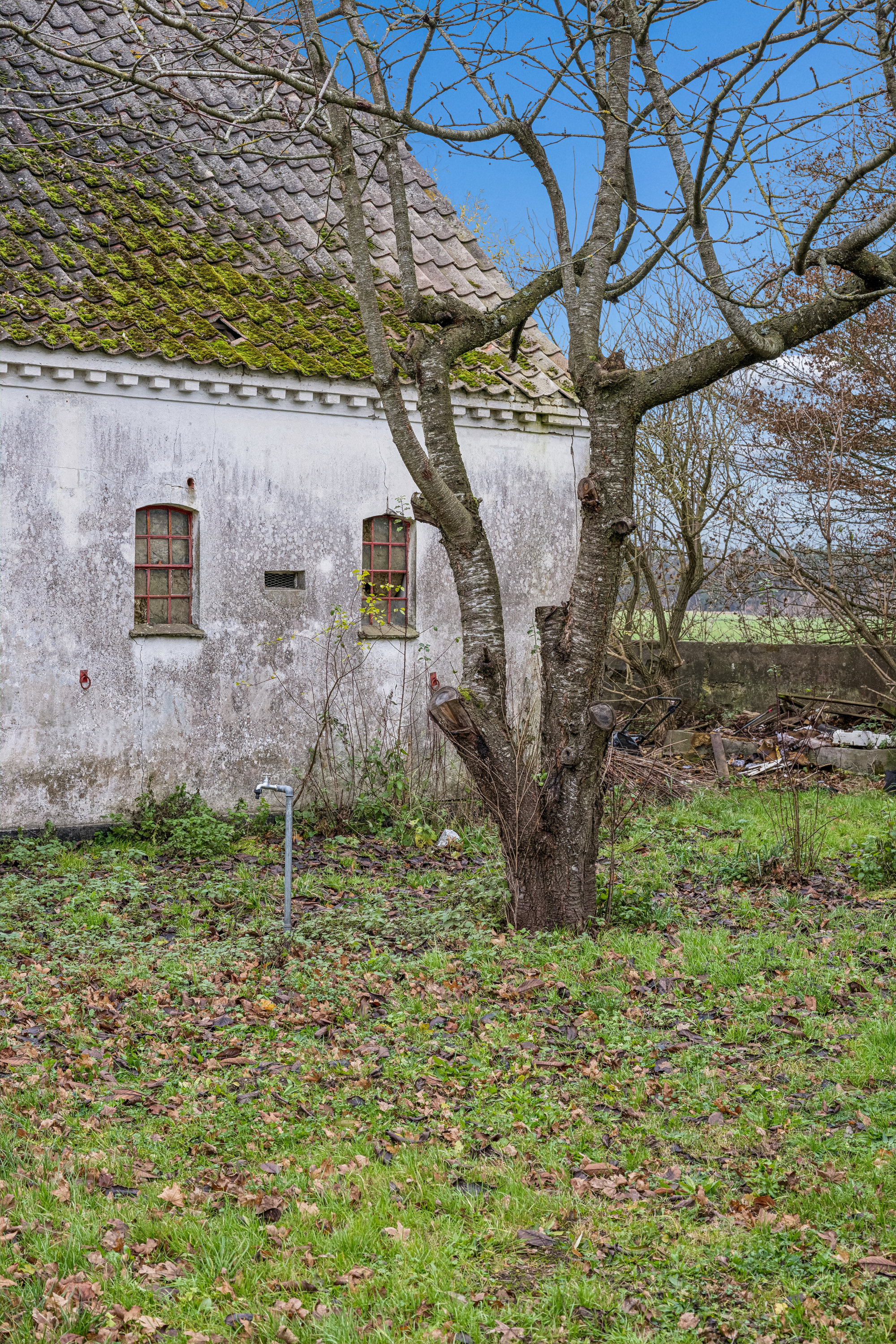 Fremhævet  billede i fuldskærmstilstand. Billede af Mosevej 5, 8950 Ørsted