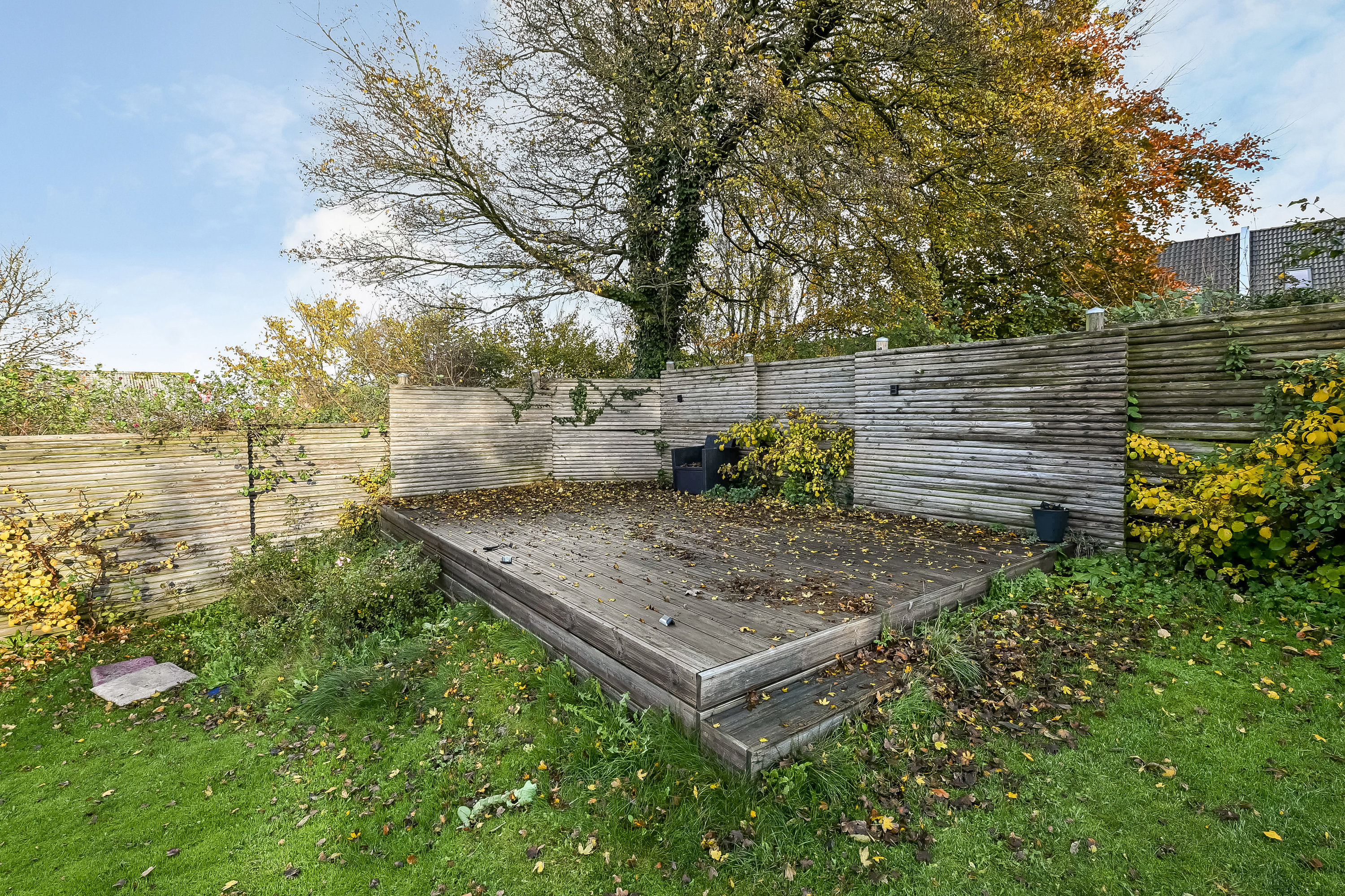 Fremhævet have billede i fuldskærmstilstand. Billede af Torvegade 19, 7600 Struer