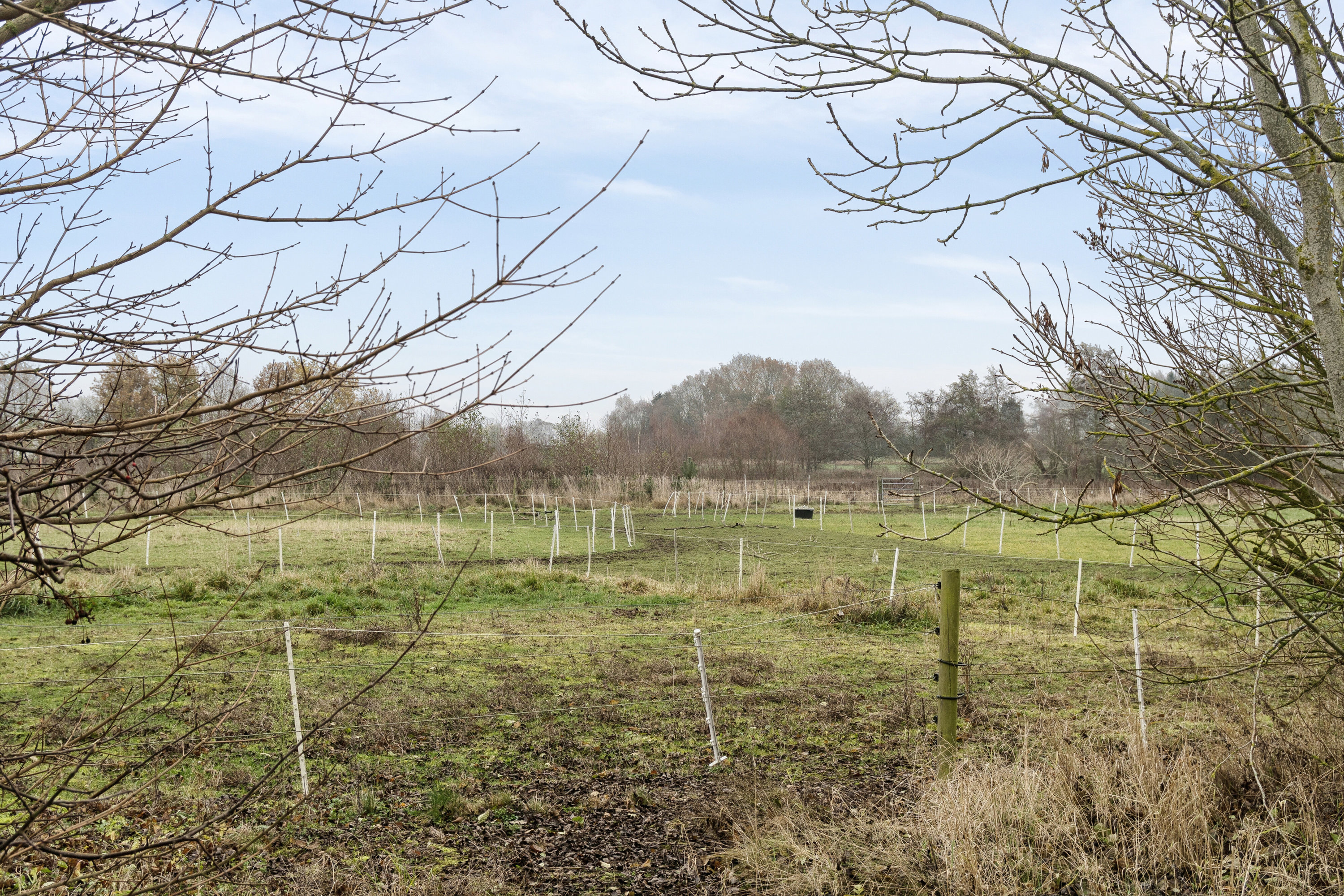Fremhævet set fra haven billede i fuldskærmstilstand. Billede af Hørby Færgevej 11, Hørby, 4300 Holbæk