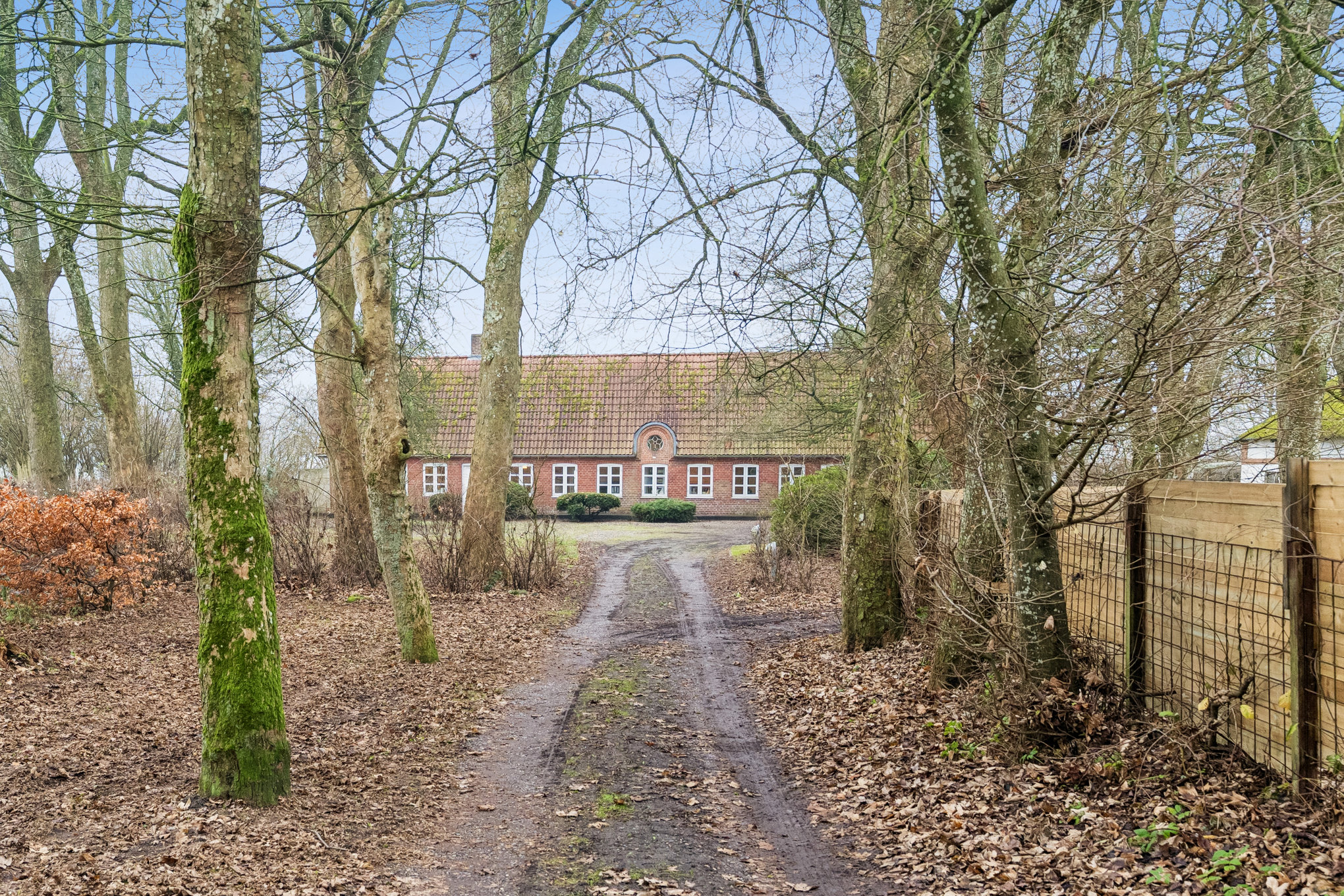 Fremhævet have billede i fuldskærmstilstand. Billede af Lillegade 12, Hald, 8983 Gjerlev J