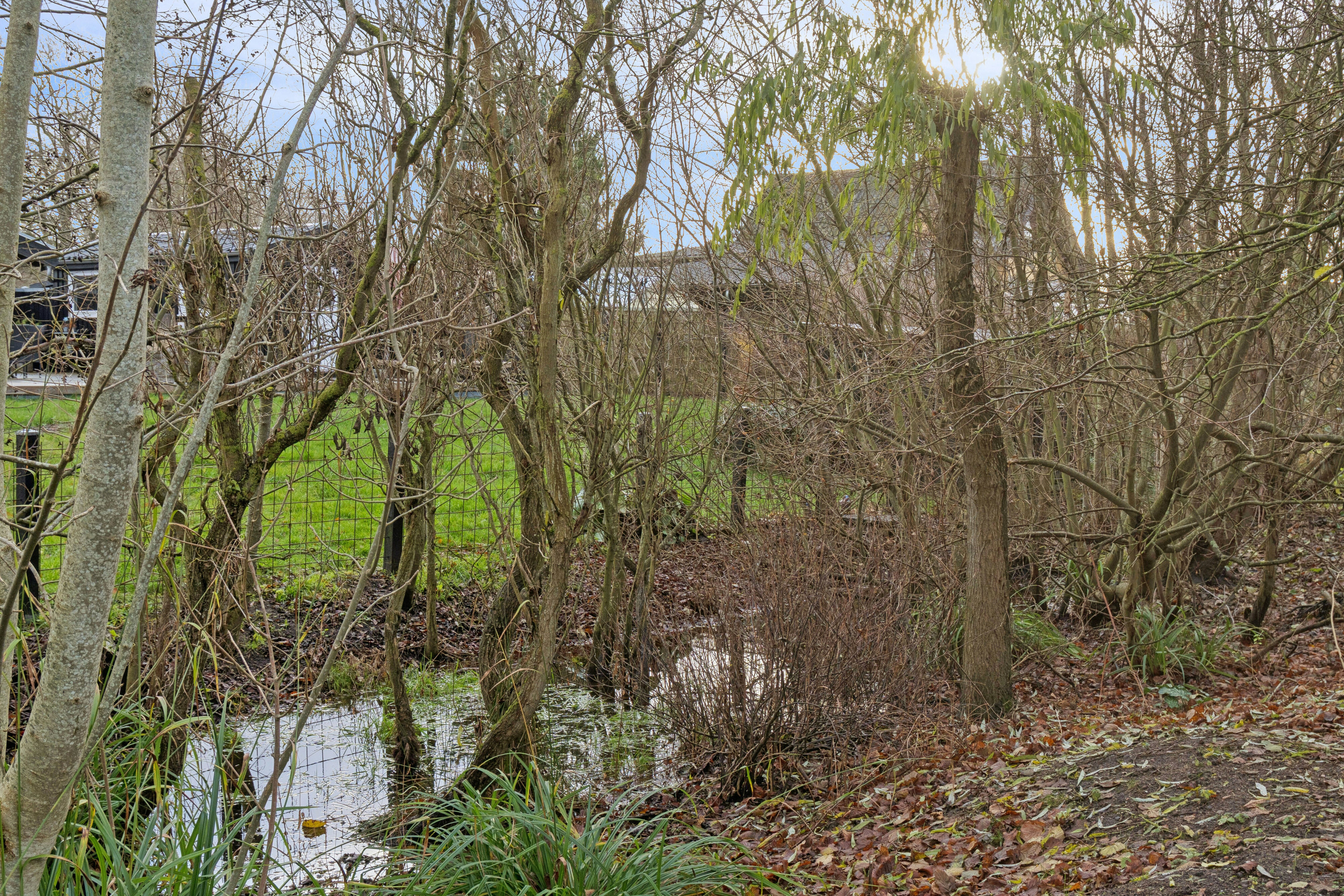 Fremhævet omgivelser billede i fuldskærmstilstand. Billede af Lillerisvænget 6, Bildsø, 4200 Slagelse