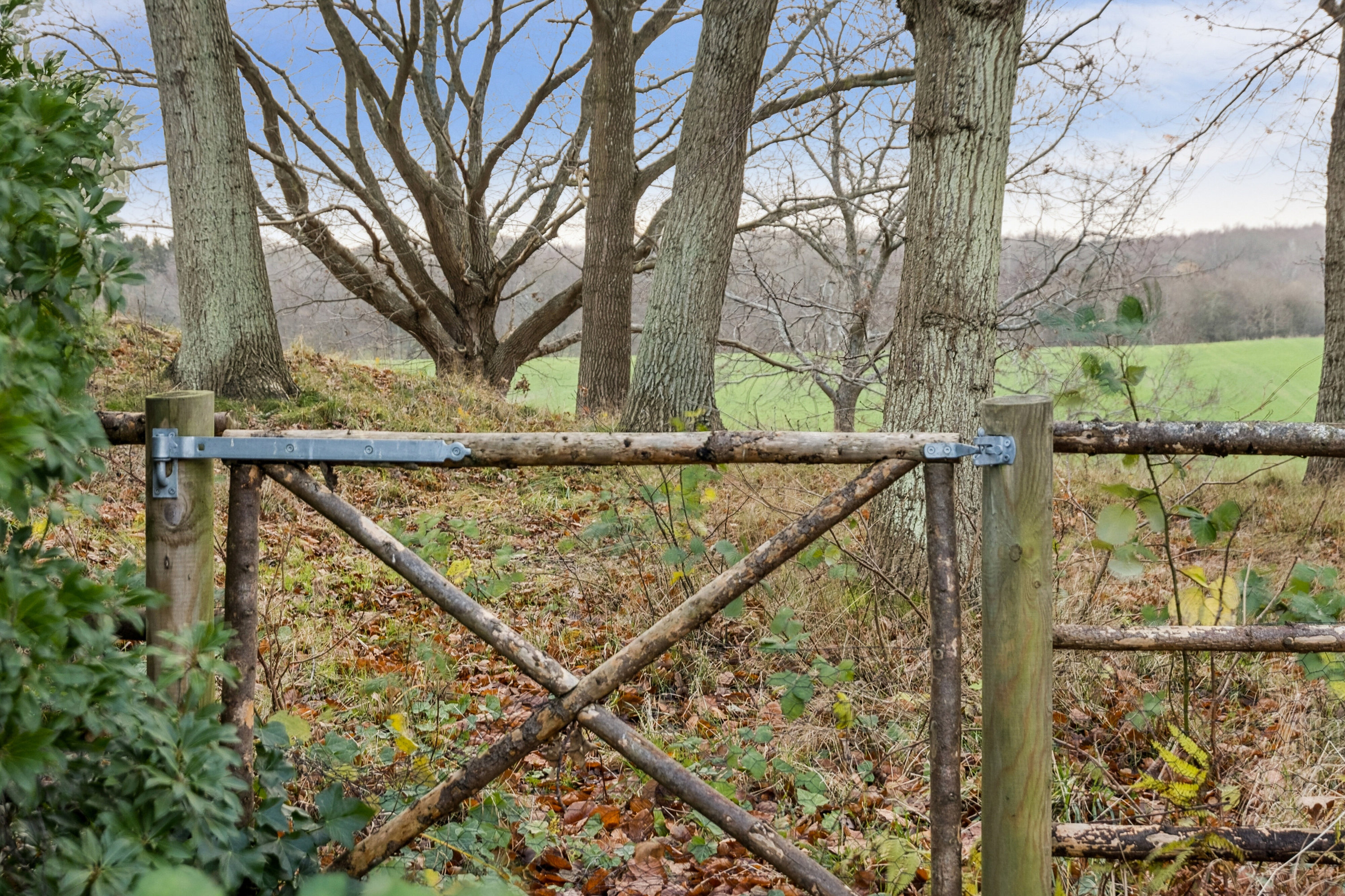 Fremhævet udendørs billede i fuldskærmstilstand. Billede af Multebærvej 10, Horneby Fælled, 3100 Hornbæk