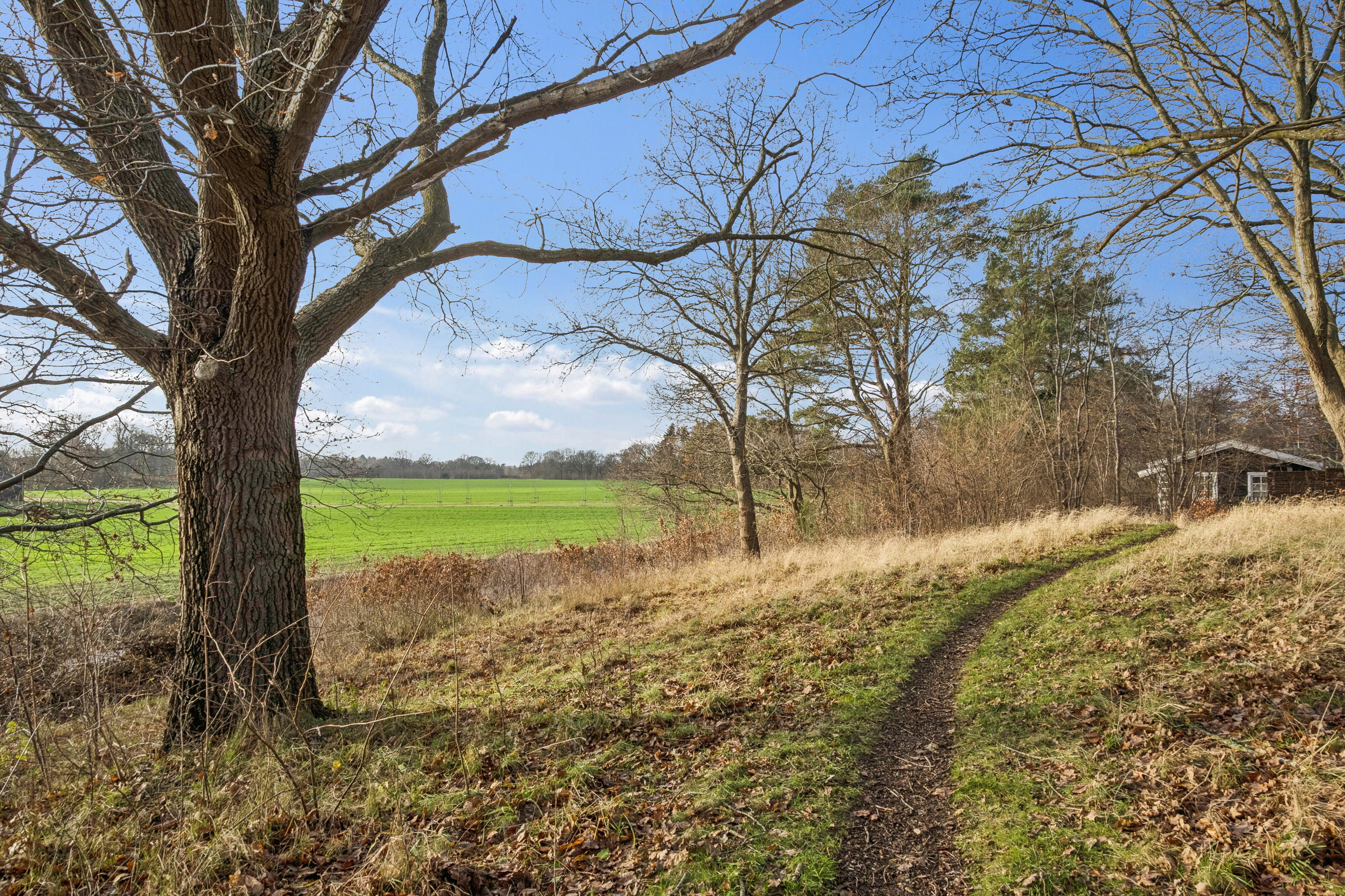 Fremhævet udendørs billede i fuldskærmstilstand. Billede af Multebærvej 10, Horneby Fælled, 3100 Hornbæk