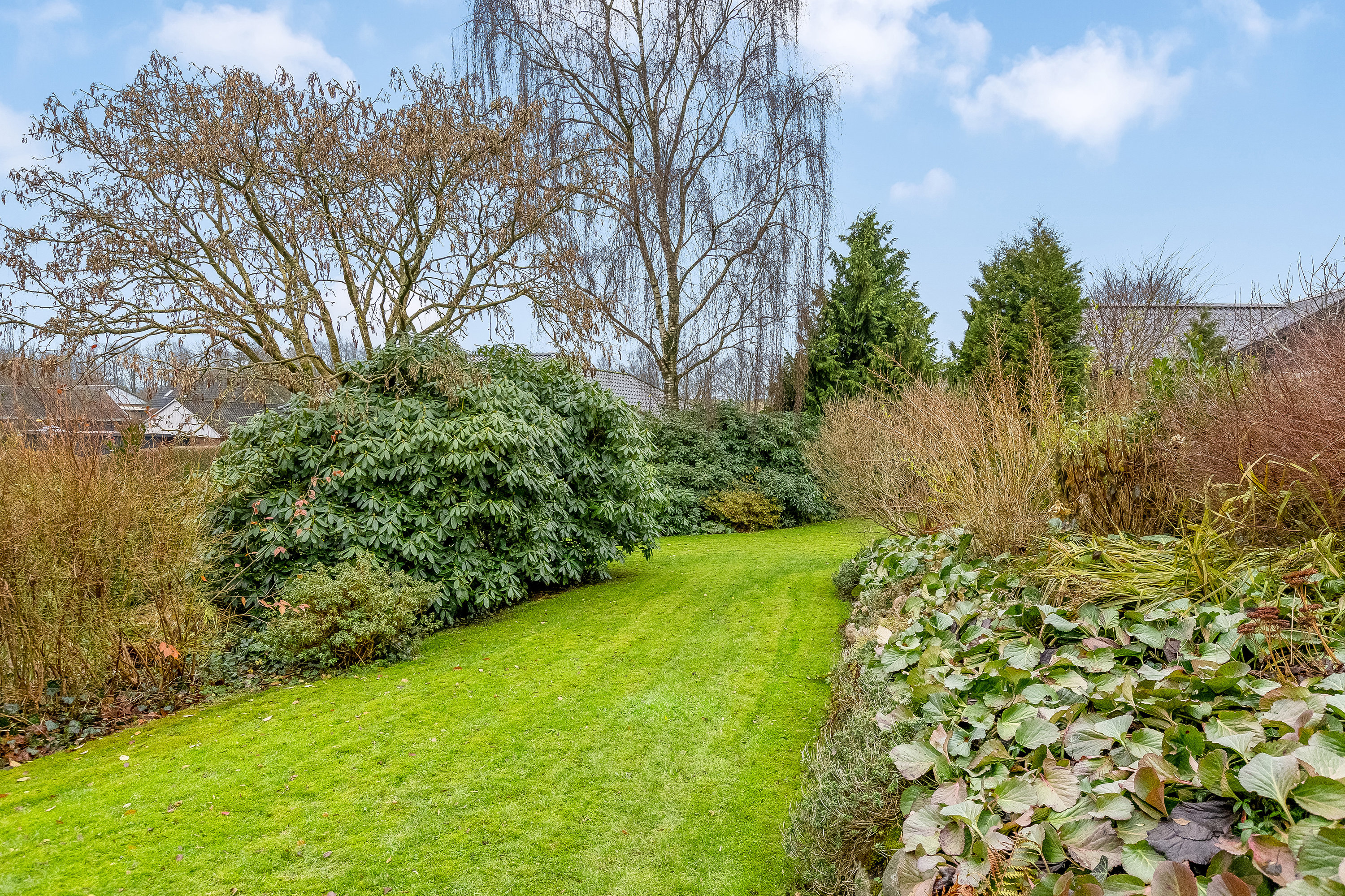 Fremhævet have billede i fuldskærmstilstand. Billede af Rosenalle 56, 6920 Videbæk