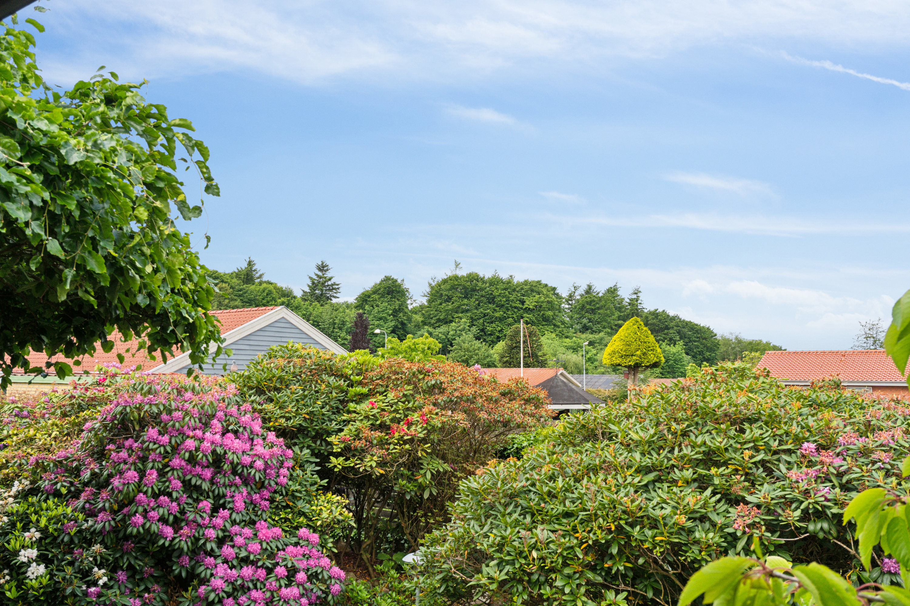 Fremhævet  billede i fuldskærmstilstand. Billede af Rønnevej 12, 5492 Vissenbjerg