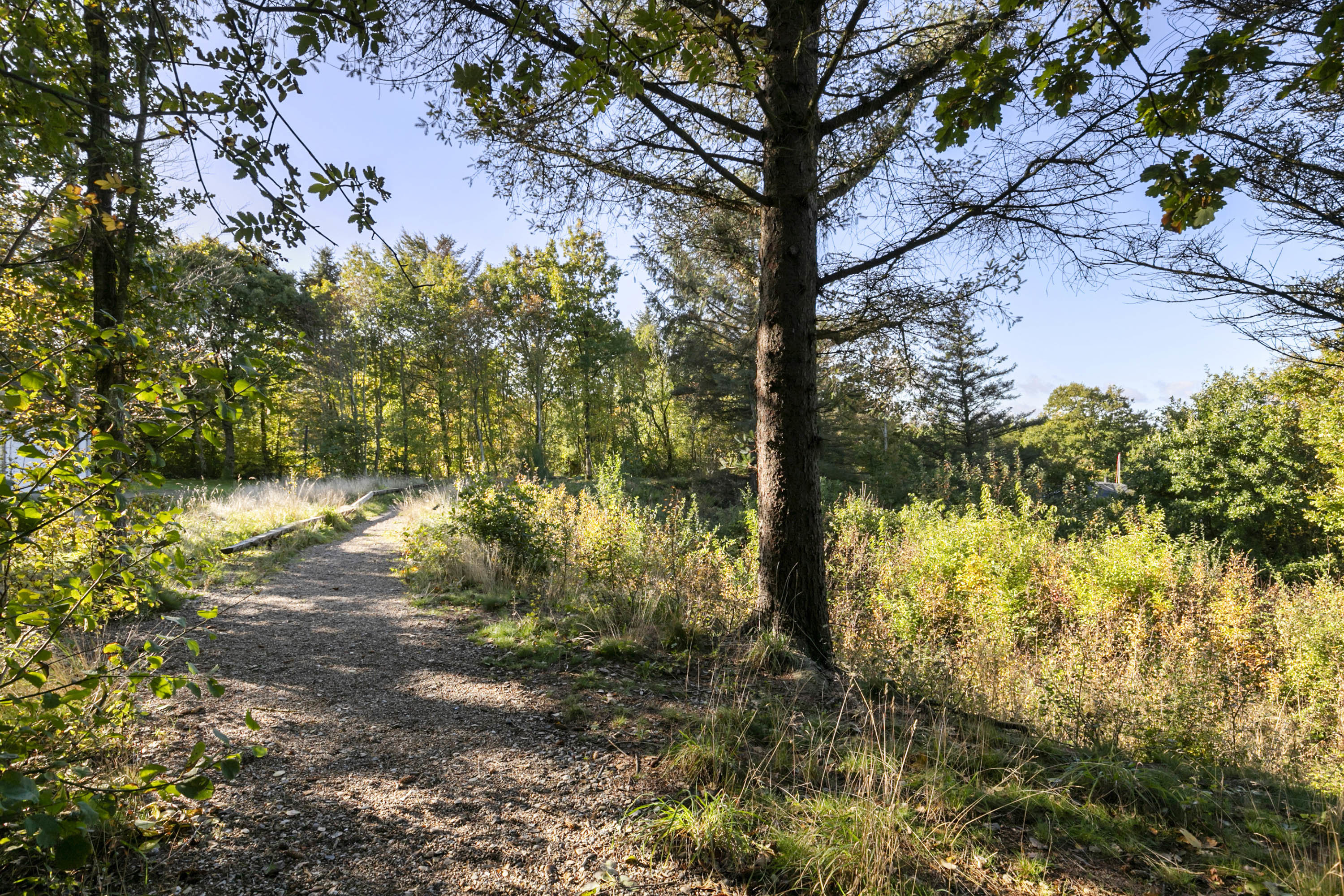 Fremhævet  billede i fuldskærmstilstand. Billede af Mariesvej 55, Trend, 9670 Løgstør