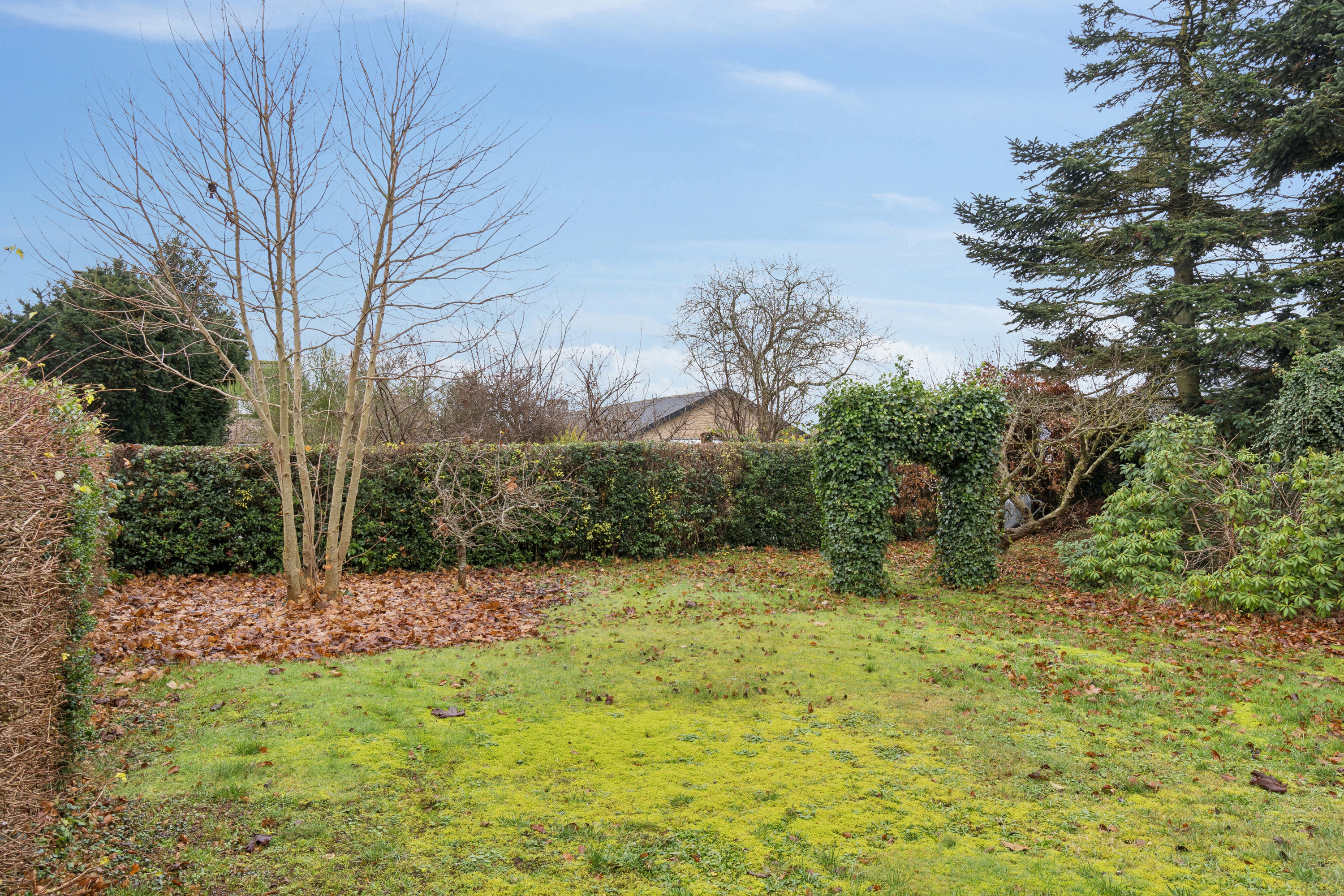 Fremhævet have billede i fuldskærmstilstand. Billede af Havevej 48, 4700 Næstved