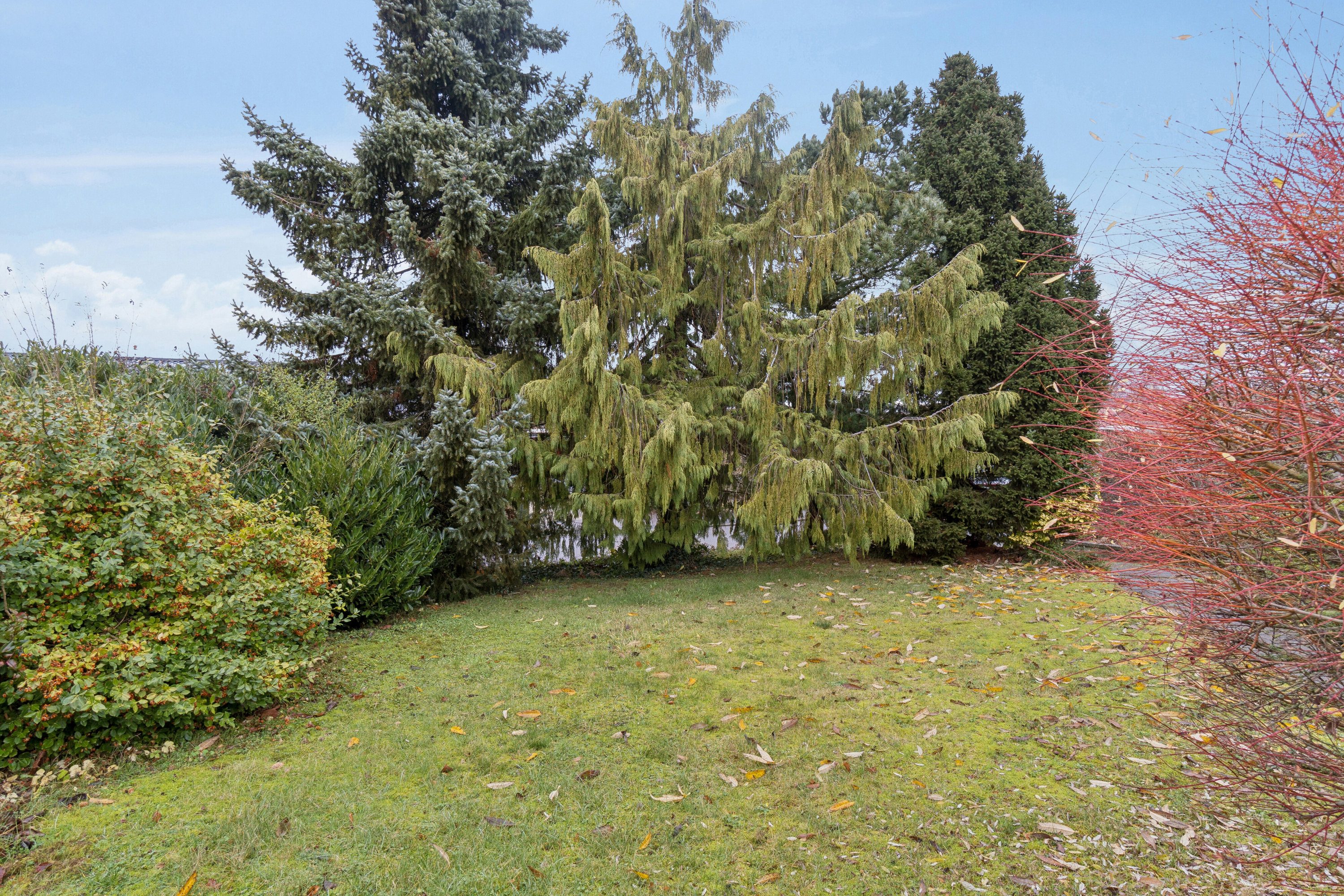 Fremhævet have billede i fuldskærmstilstand. Billede af Havevej 48, 4700 Næstved