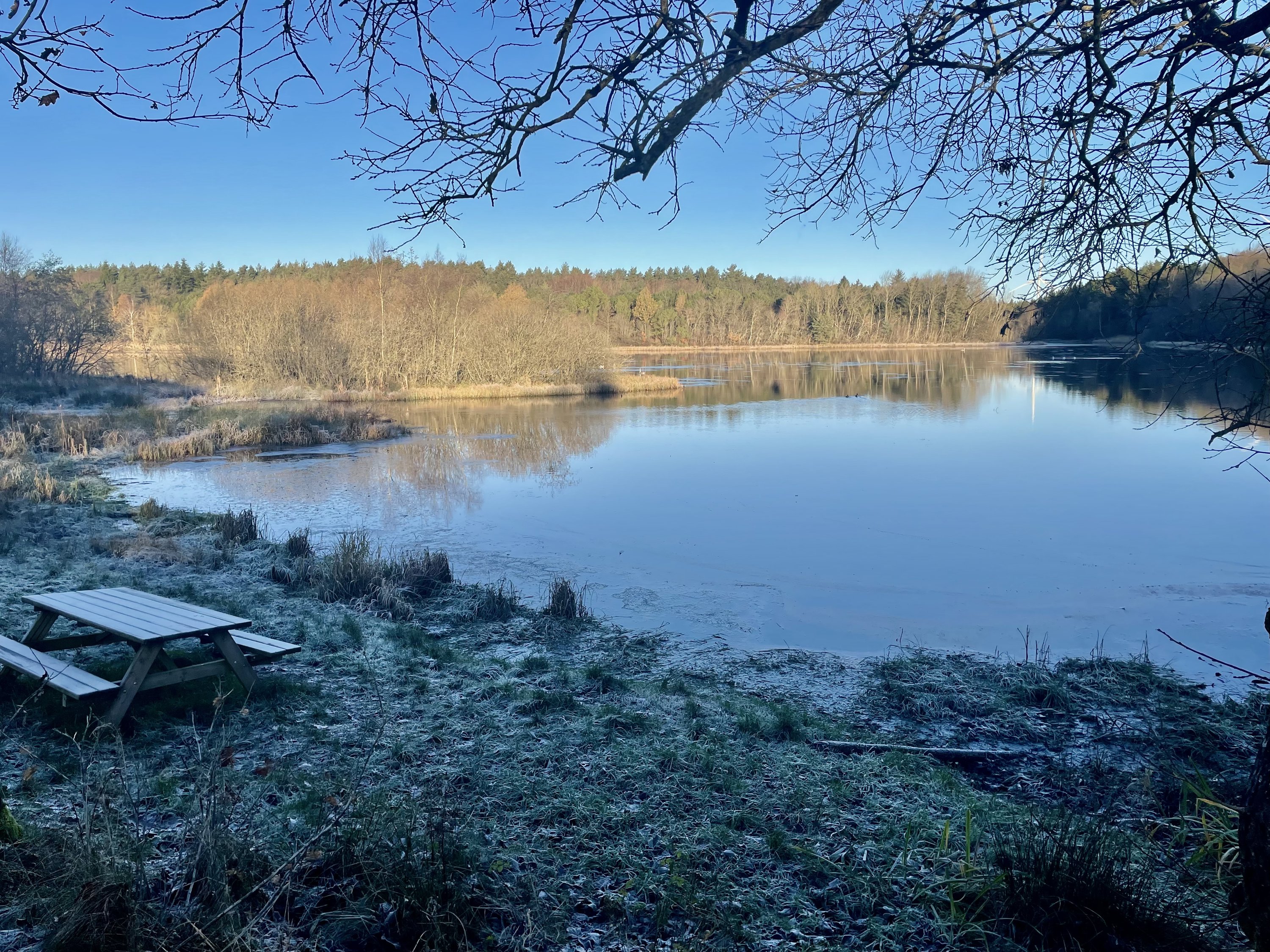 Fremhævet omgivelse billede i fuldskærmstilstand. Billede af Dalgasgade 25, Troldhede, 6920 Videbæk