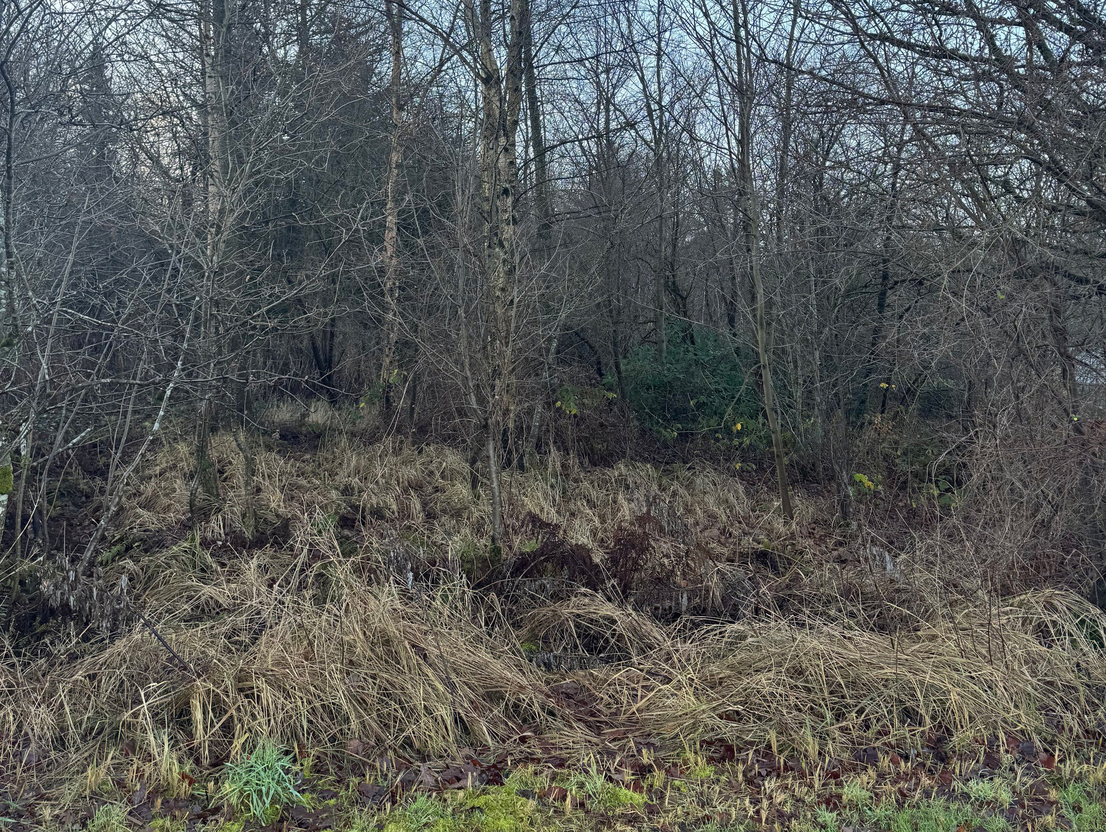 Miniaturebillede 1: . Billede af Kollerup Klitvej 133, Kollerupklit, 9690 Fjerritslev