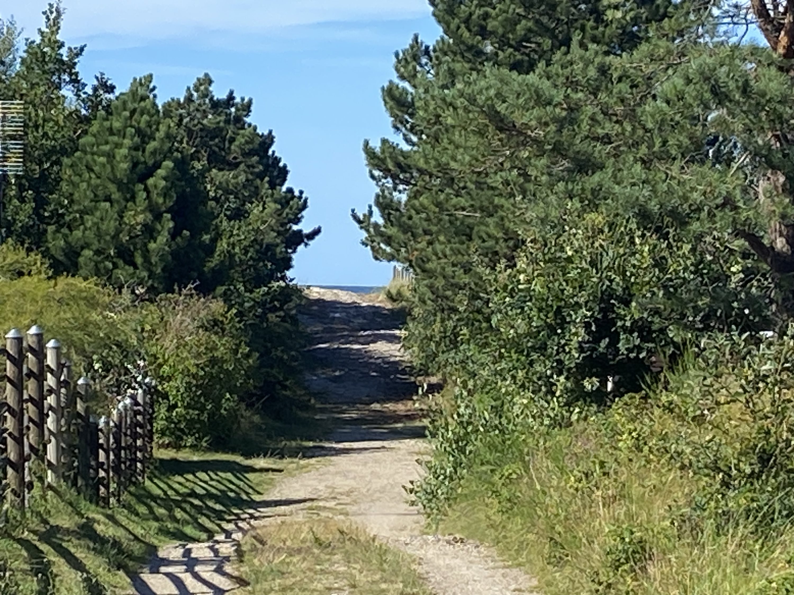 Fremhævet  billede i fuldskærmstilstand. Billede af Lyngvangen 18, 4500 Nykøbing Sj