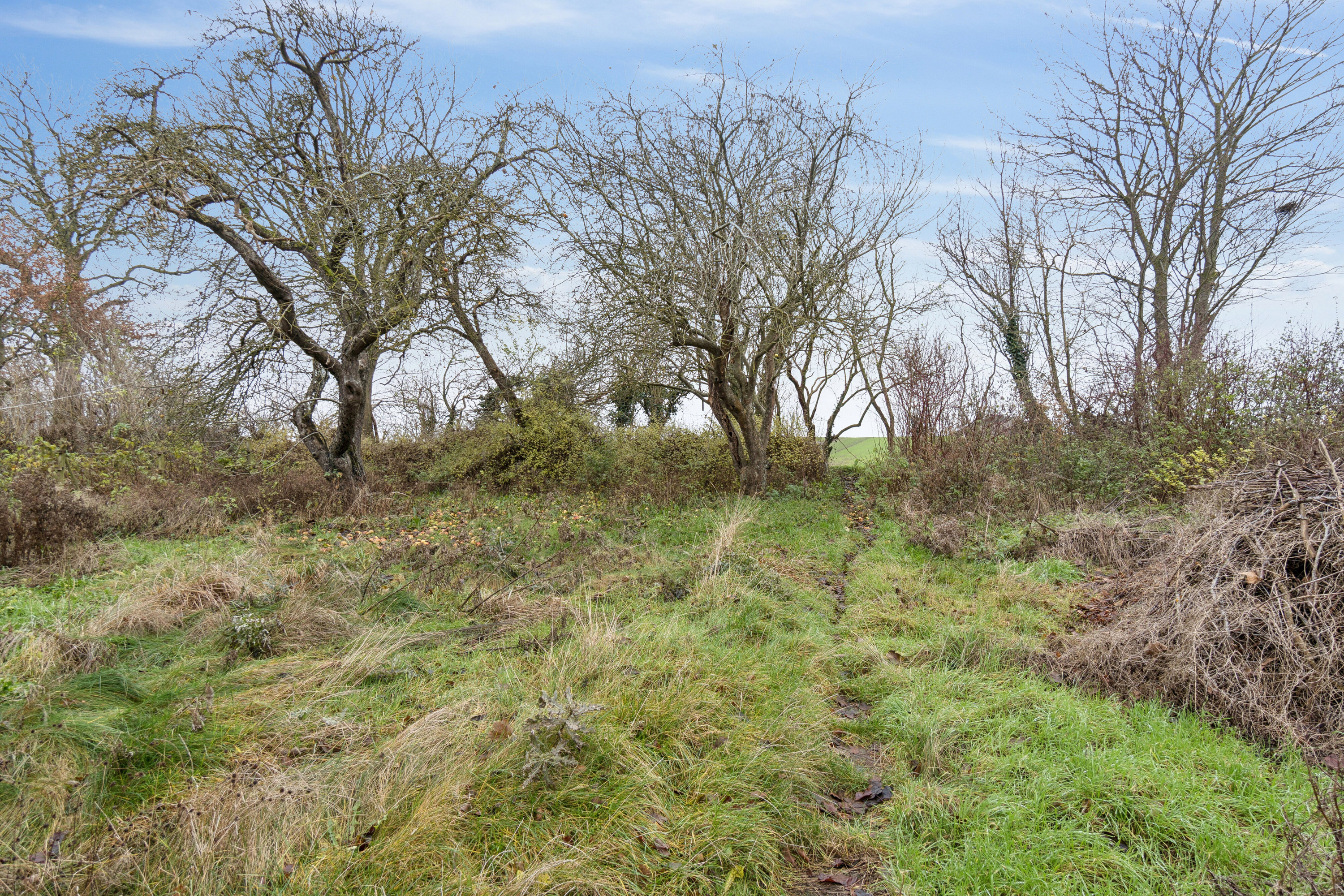 Fremhævet have billede i fuldskærmstilstand. Billede af Jorløse Byvej 28, 4470 Svebølle