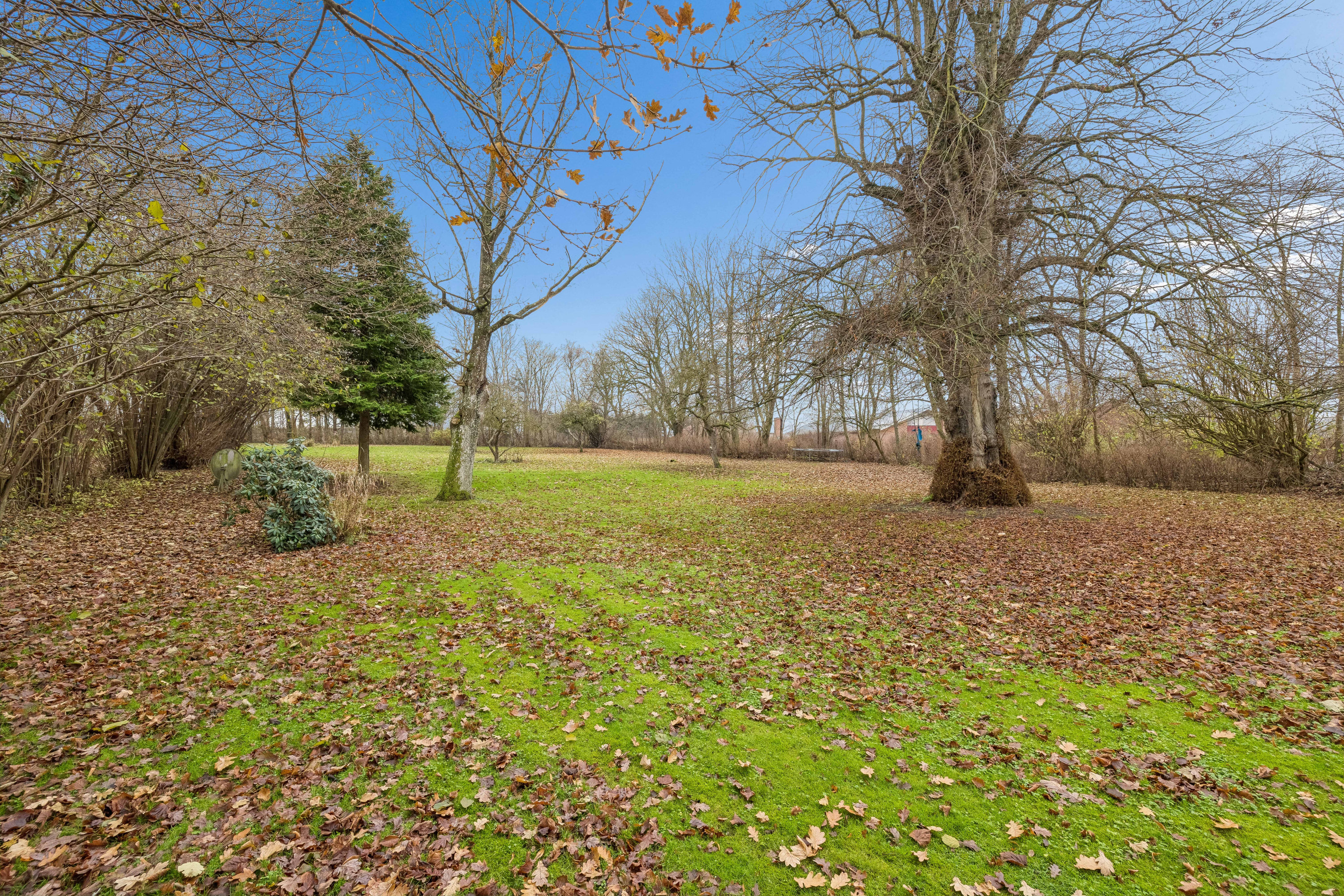 Fremhævet have billede i fuldskærmstilstand. Billede af Nødagervej 20, 8560 Kolind