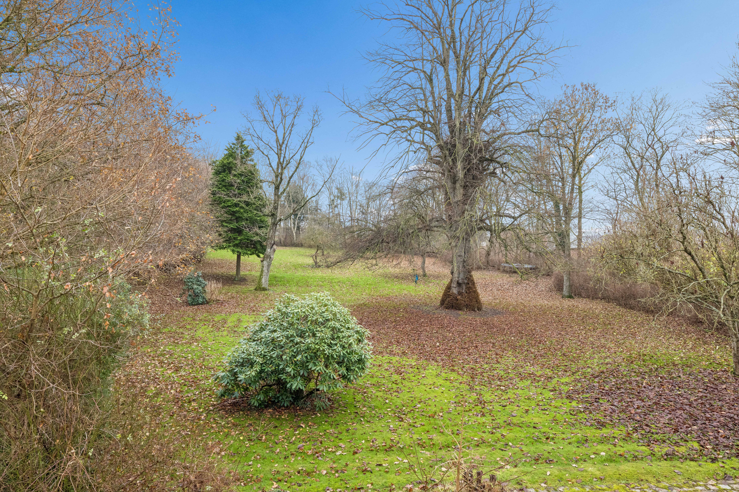 Fremhævet have billede i fuldskærmstilstand. Billede af Nødagervej 20, 8560 Kolind