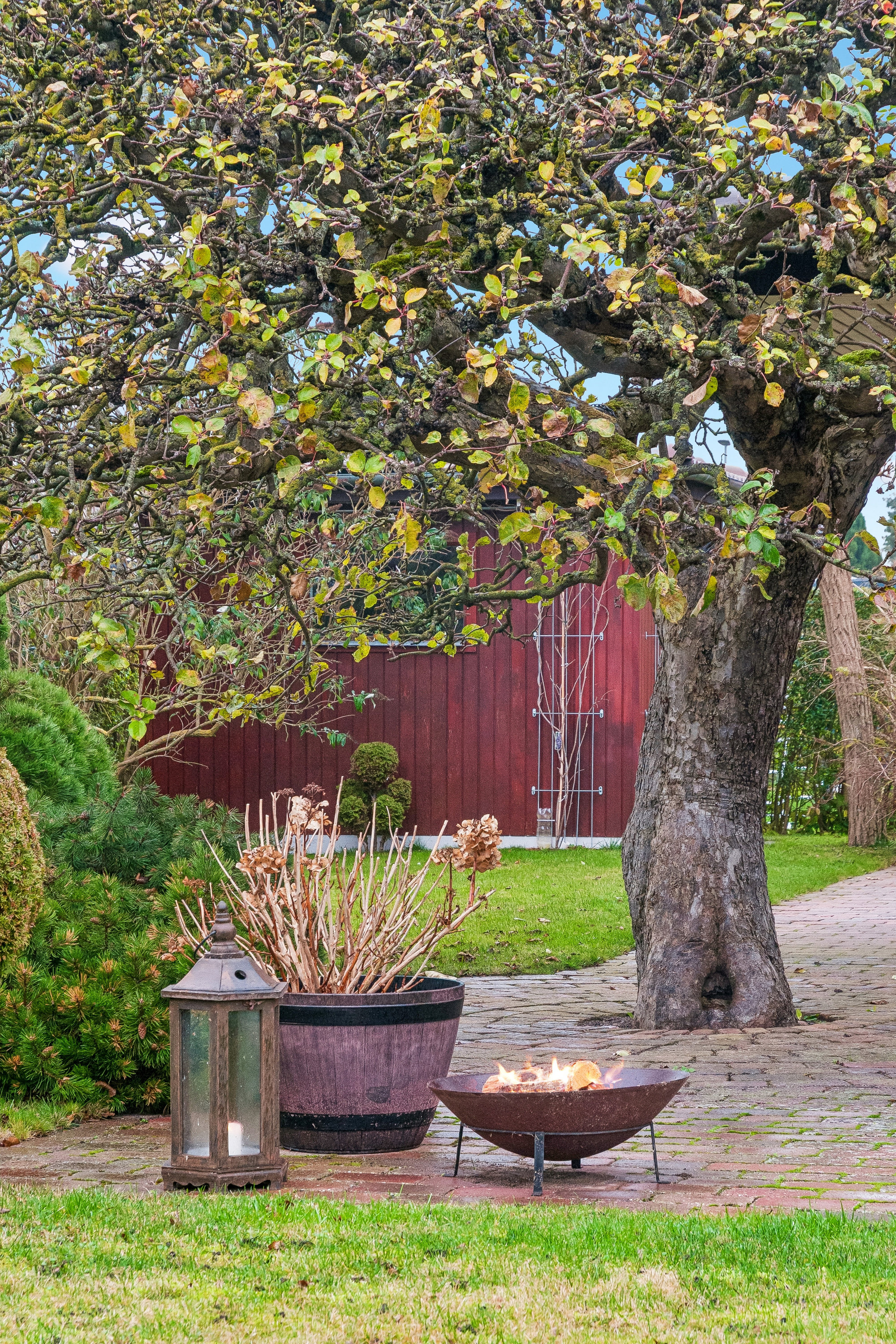 Fremhævet have billede i fuldskærmstilstand. Billede af Weendam Alle 26, 2791 Dragør