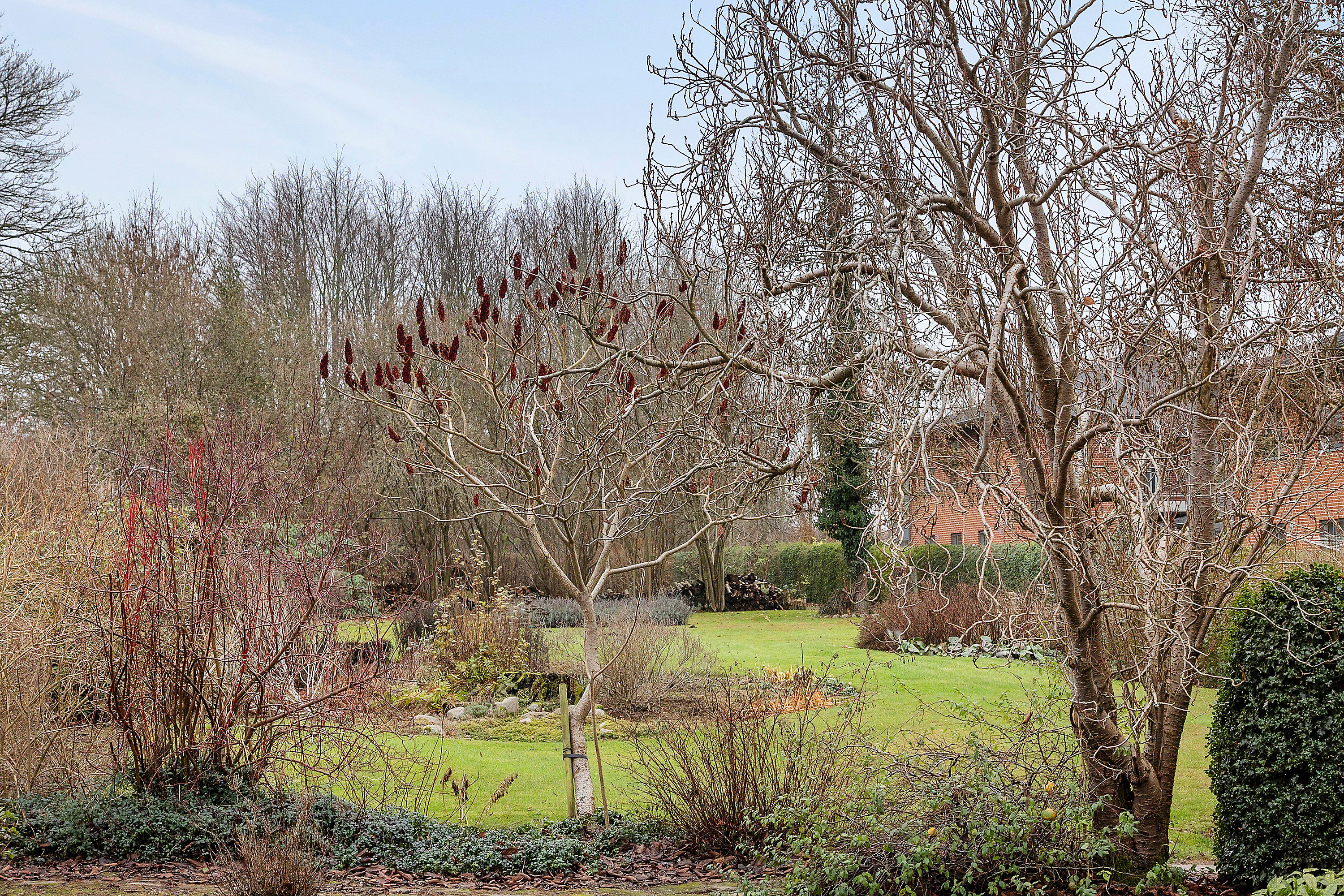 Miniaturebillede 2: ejendommen. Billede af Søndergade 37, 8783 Hornsyld