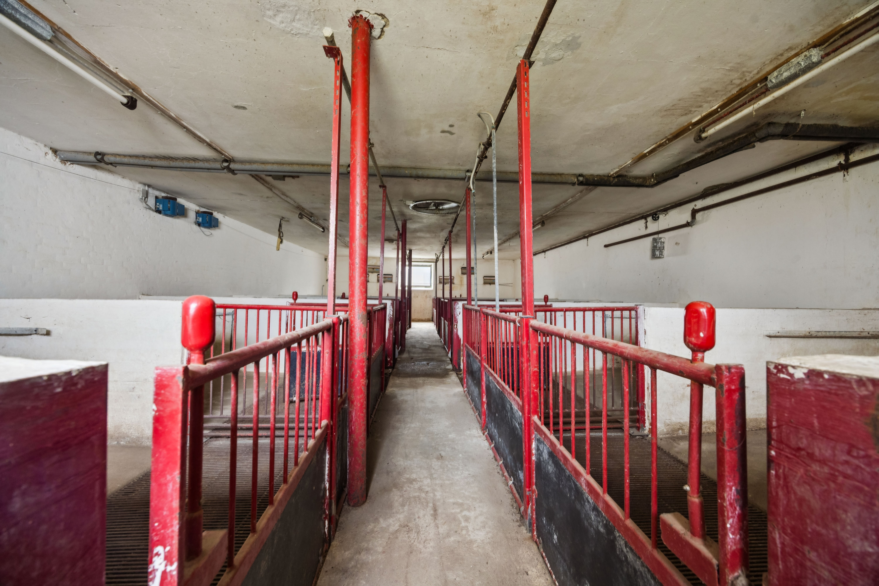 Fremhævet stald billede i fuldskærmstilstand. Billede af Melholtvej 63, Ulsted, 9370 Hals