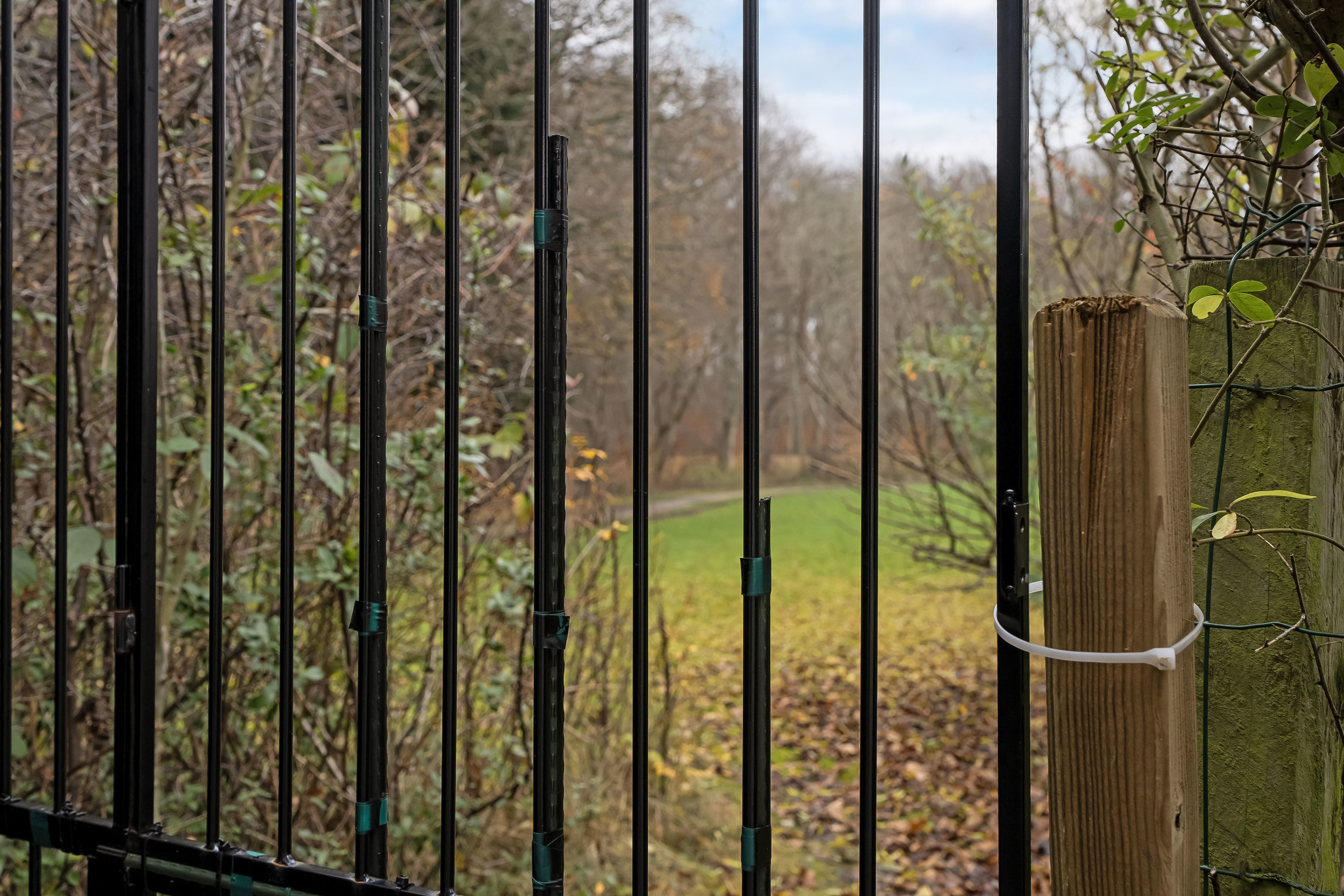 Fremhævet udsigt billede i fuldskærmstilstand. Billede af Skovhegnet 4, 3400 Hillerød