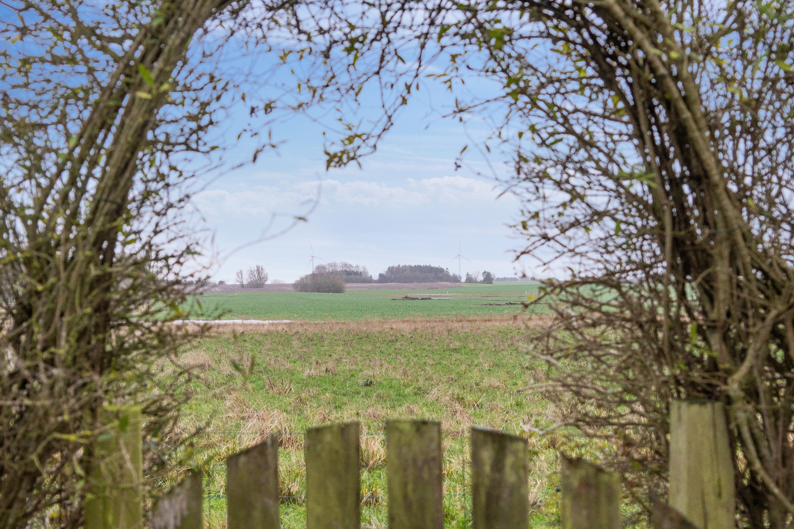 Fremhævet udsigt billede i fuldskærmstilstand. Billede af Katrinevej 28, Gimlinge, 4200 Slagelse